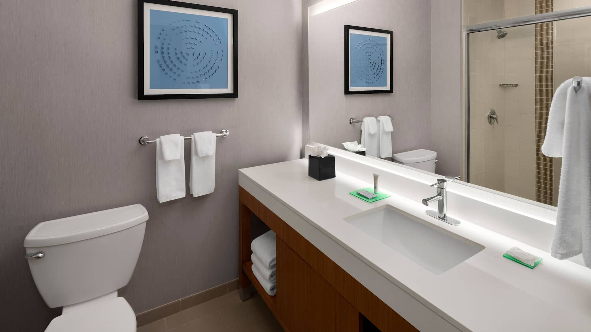 5 de 5 Hyatt Place Denver/Cherry Creek King Standard Bathroom