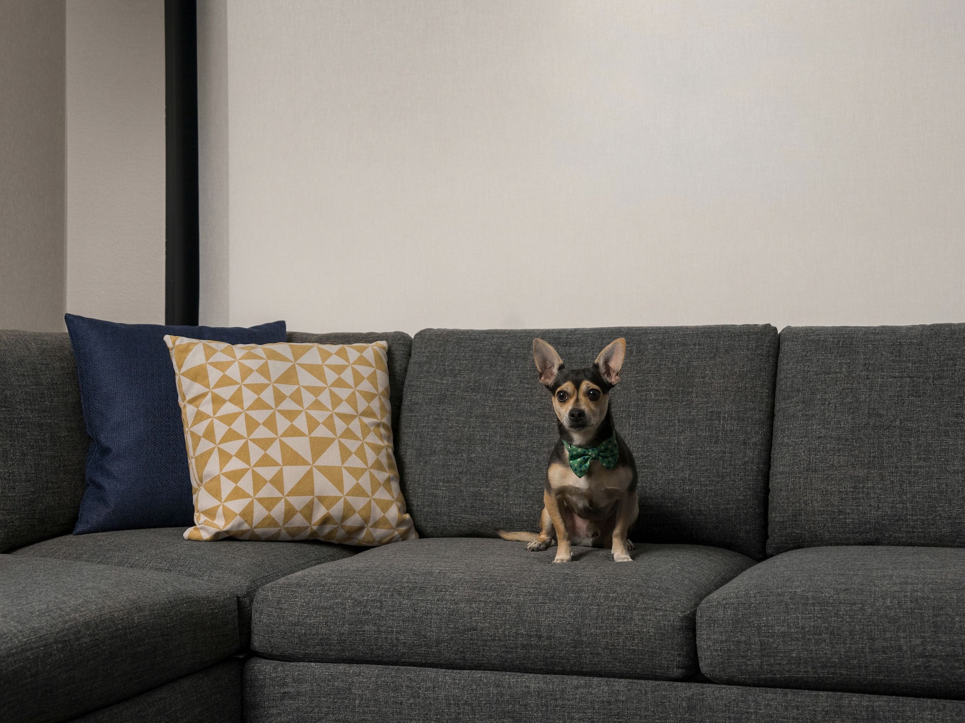 Hyatt Place Denver/Cherry Creek Pet-Friendly Amenities