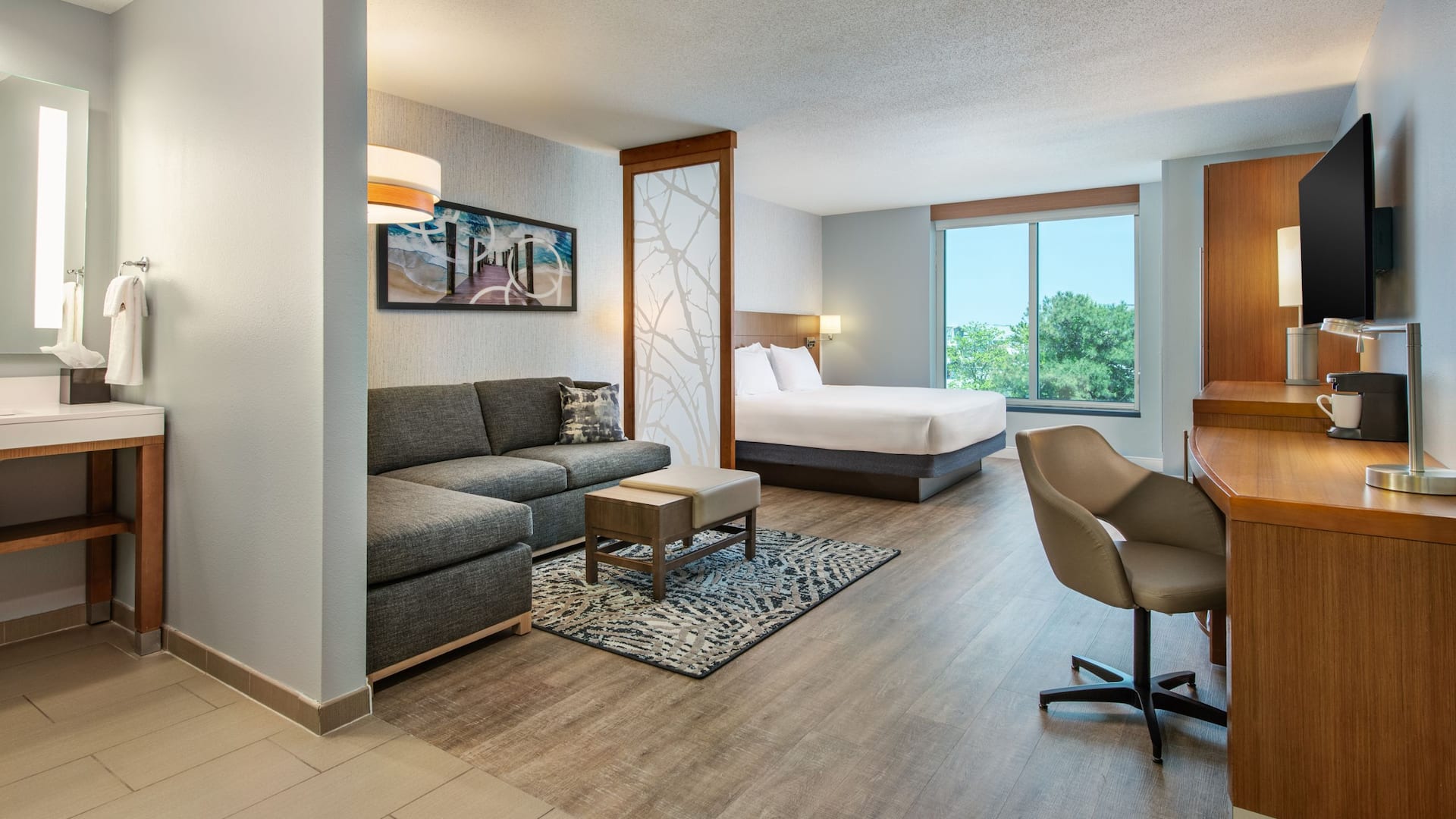 Hyatt Place Dewey Beach Ada King Full View