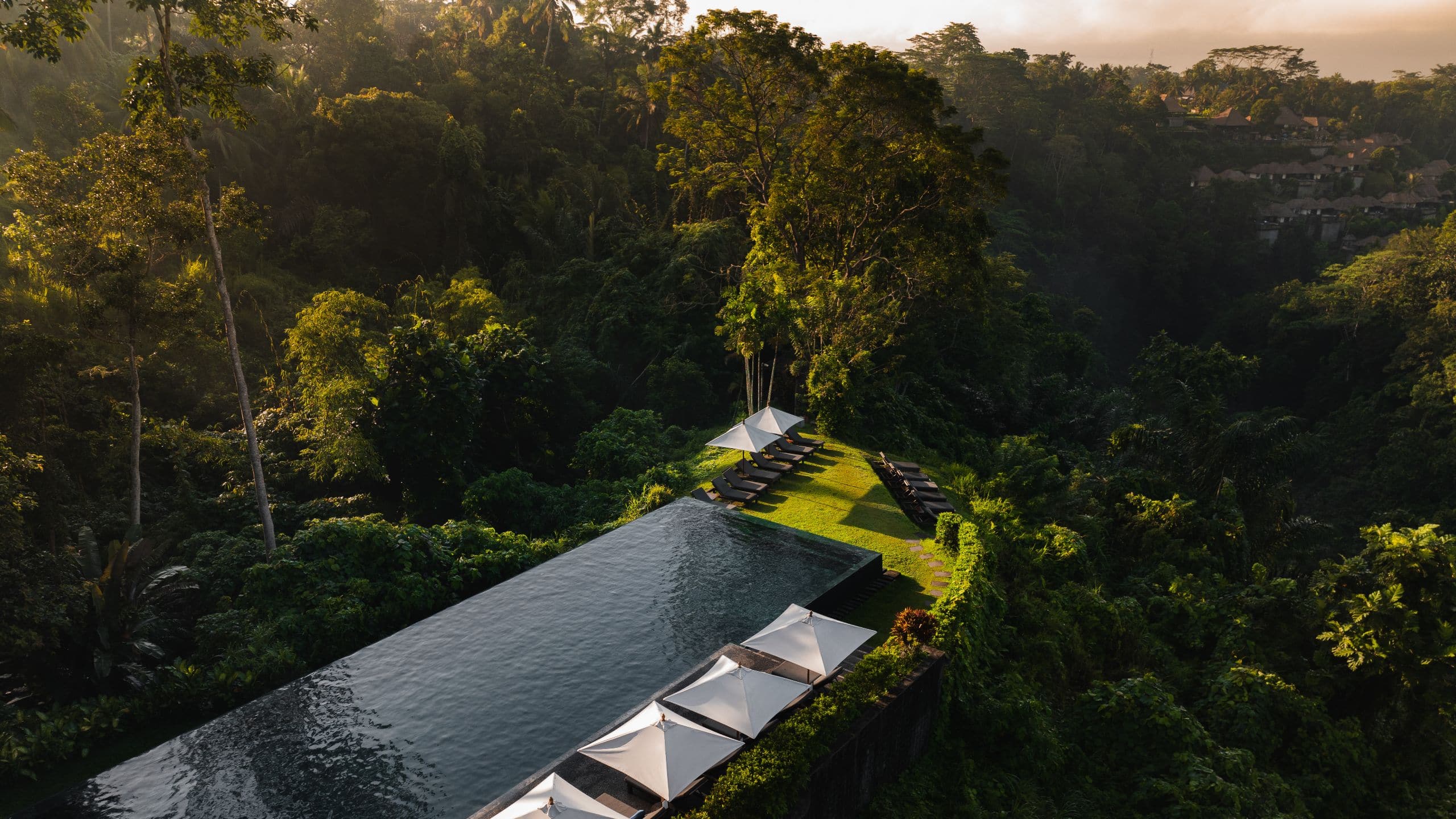 Alila Ubud Infinity Pool Sunrise View
