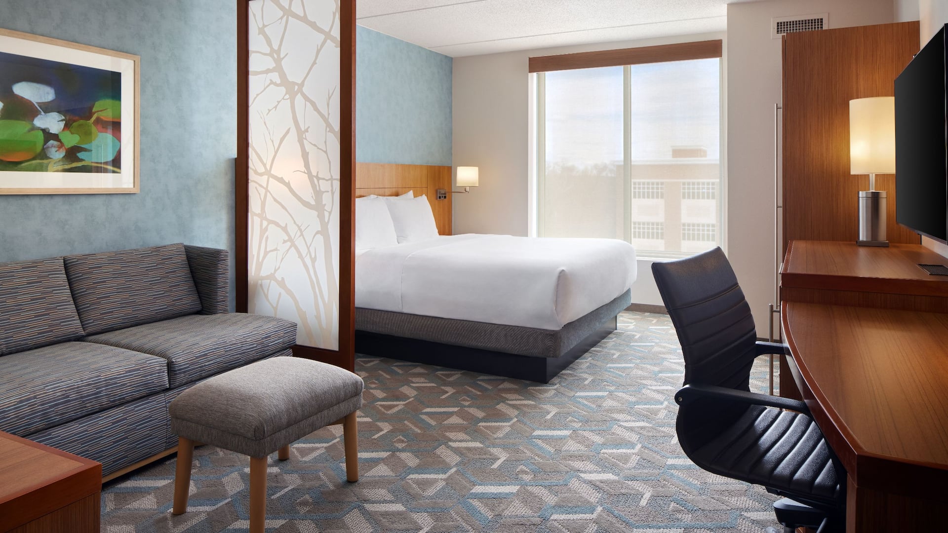 Hyatt Place Fredericksburg-Mary Washington King Guestroom