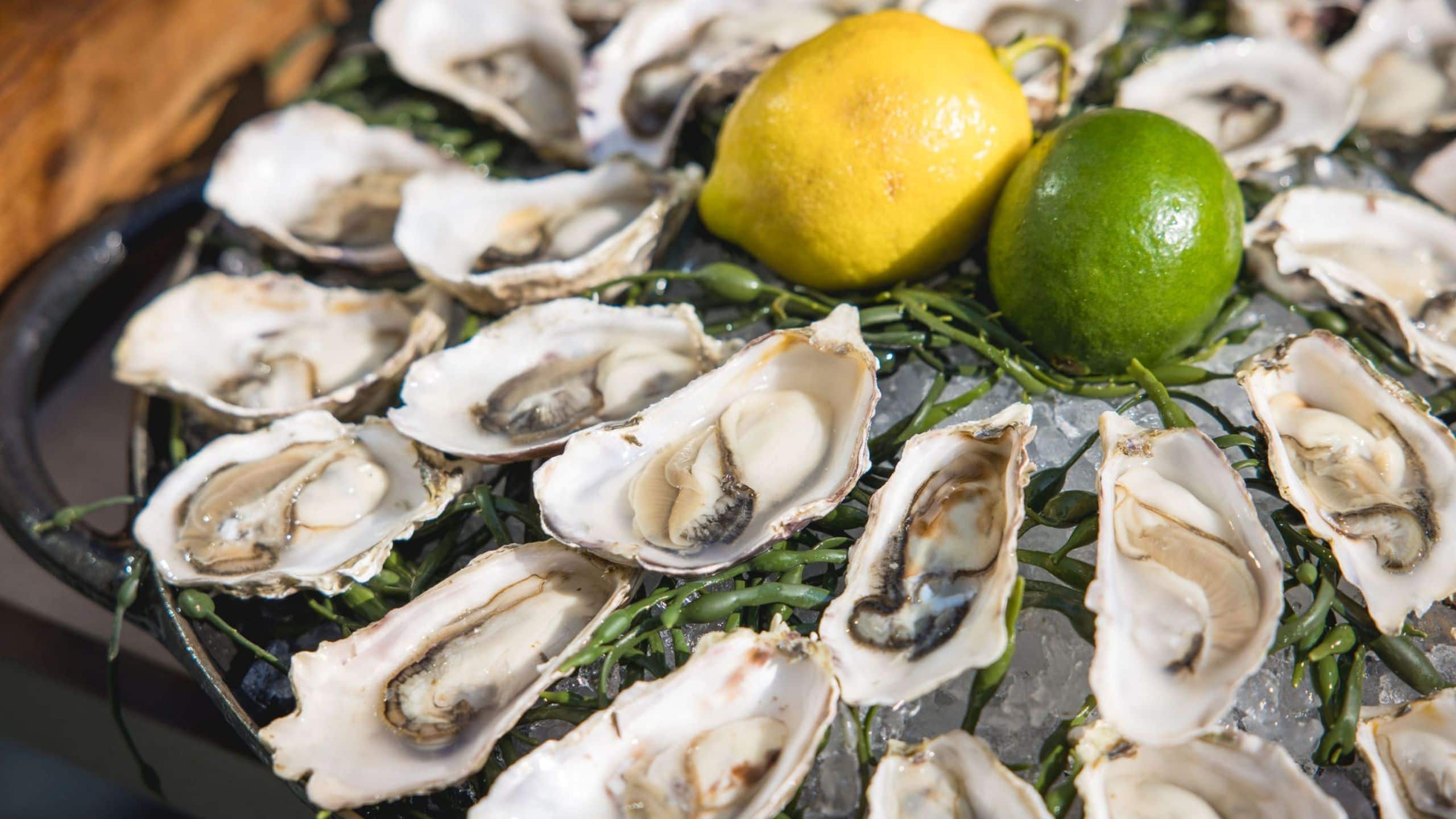 Park Hyatt Chicago Oyster Station Spread