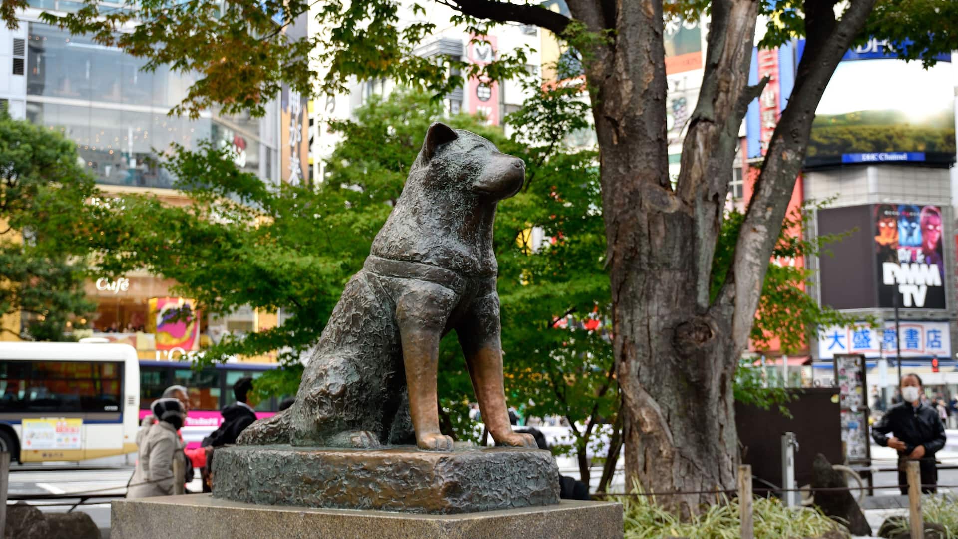 Hyatt House Tokyo Shibuya Shibuya Hachiko Statue