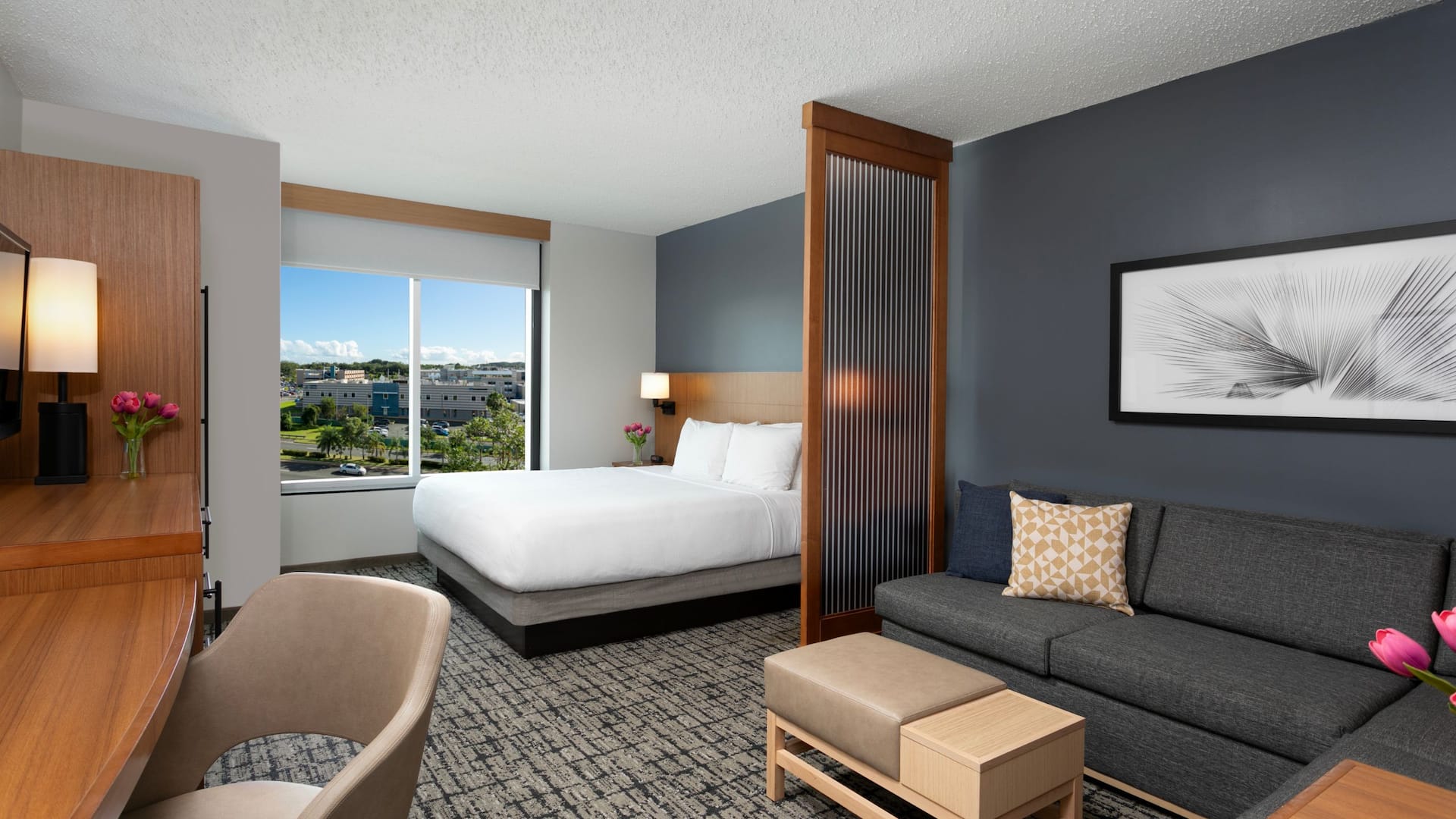 Hyatt Place Manatí King Hospital View