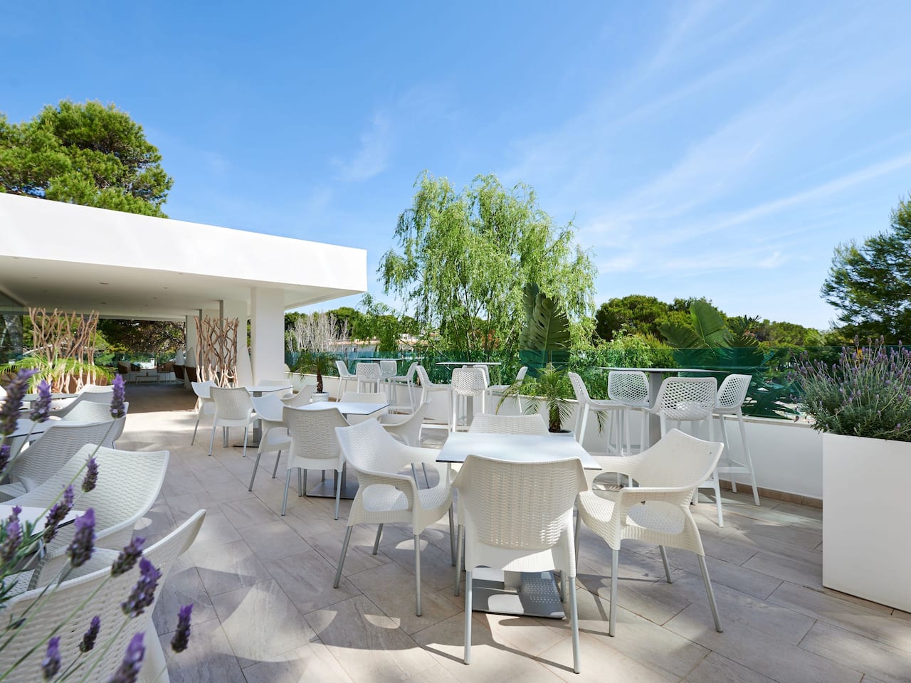 Agua Bar Terrace