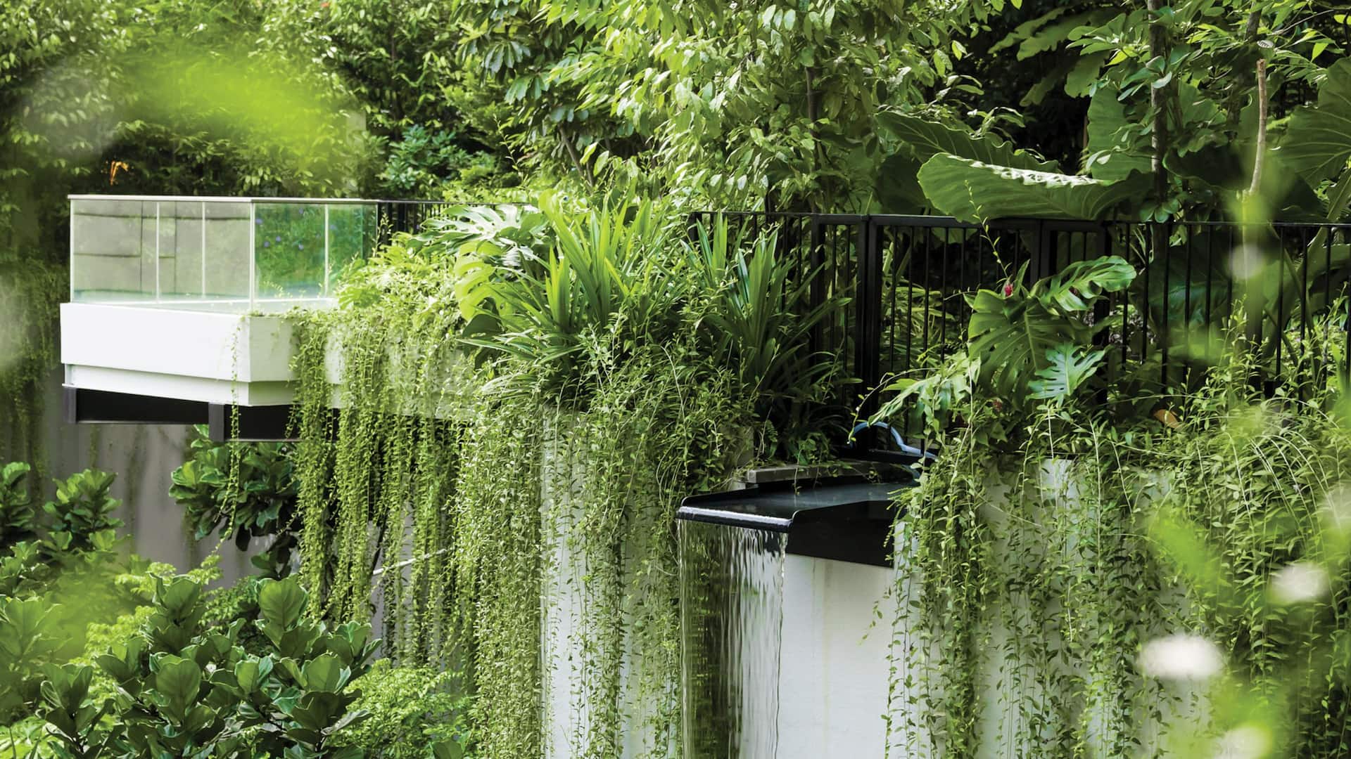 Grand Hyatt Singapore Waterfall