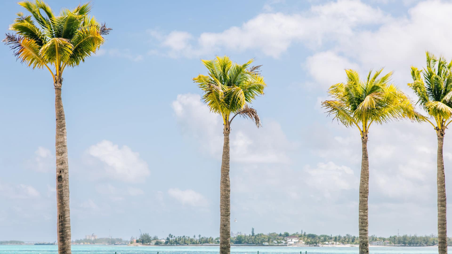 Grand Hyatt Baha Mar Marcus Beach Views