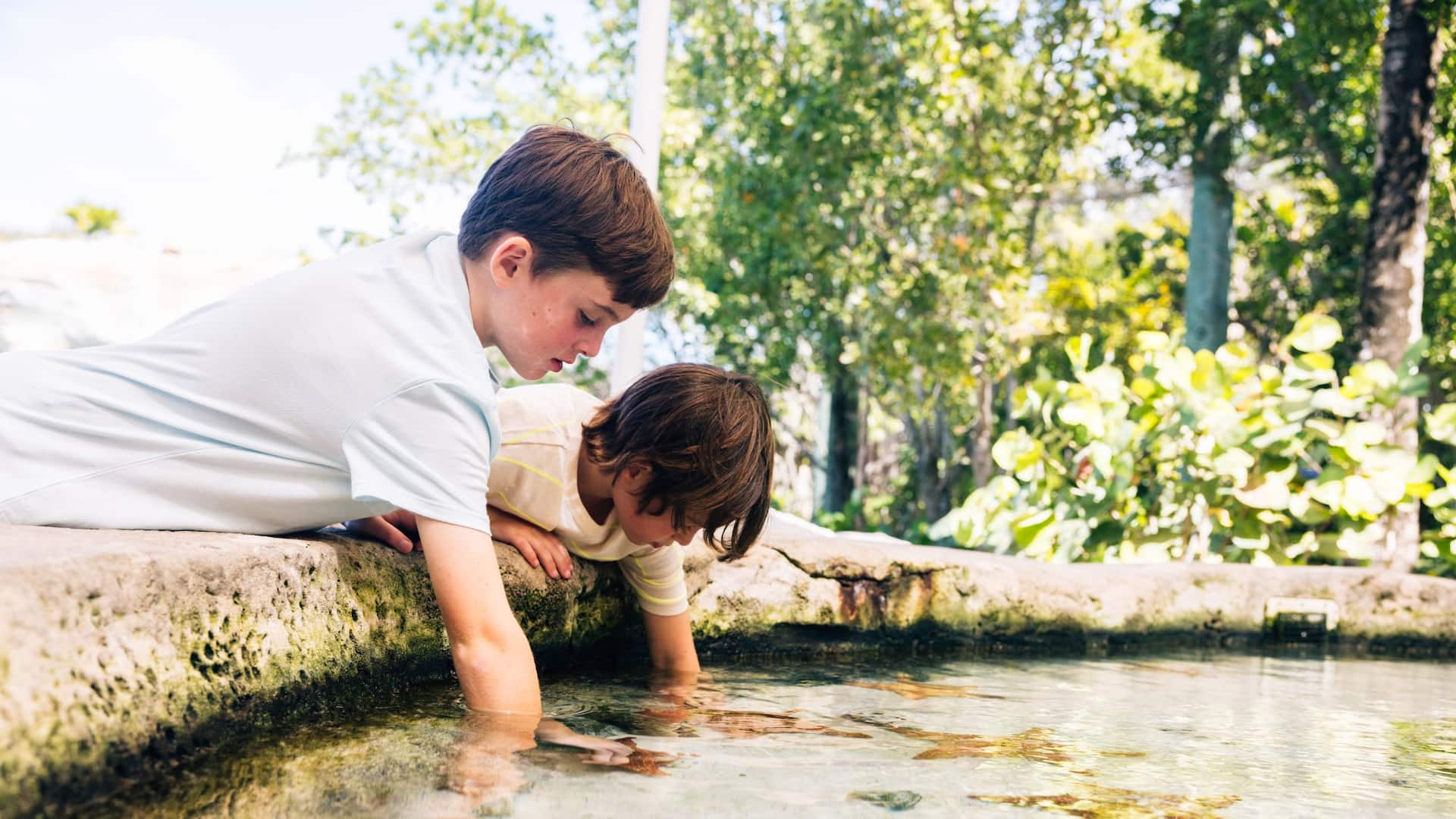 Grand Hyatt Baha Mar Sanctuary Wildlife Touch Tank
