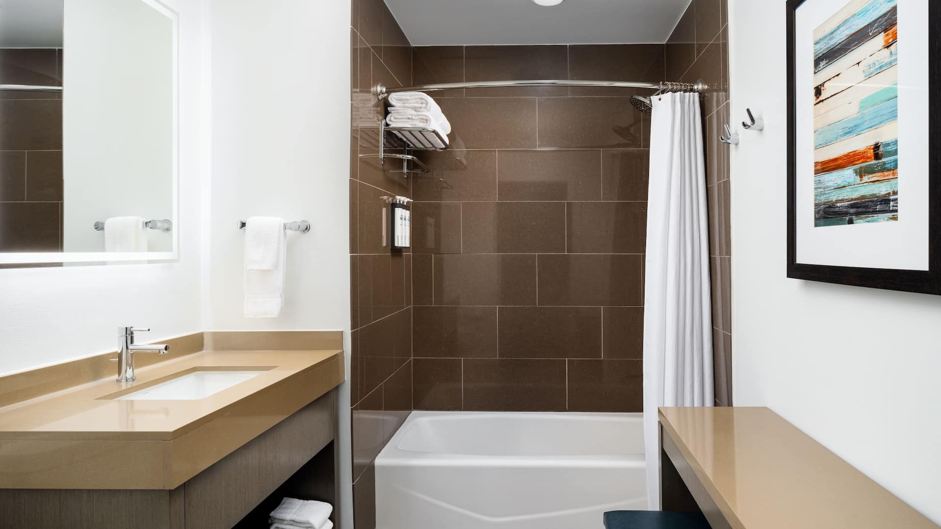 第 4，共 4 Hyatt House Naples/5th Avenue BSQ One Bedroom Two Queen View Tub Bathroom