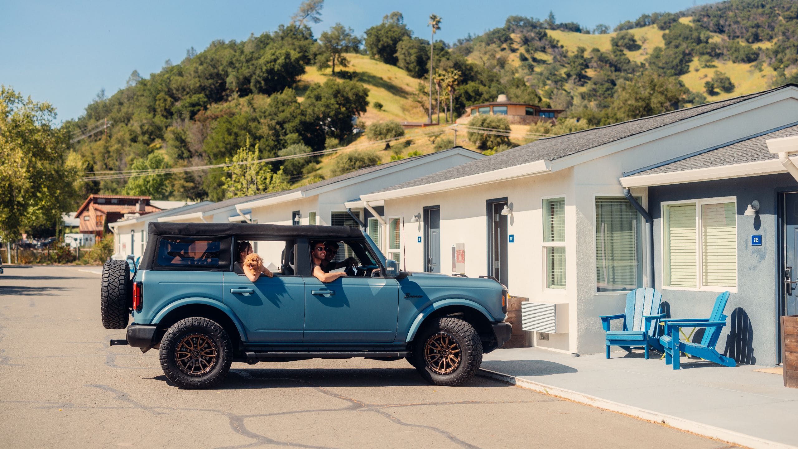 Calistoga Motor Lodge & Spa Car with Dog