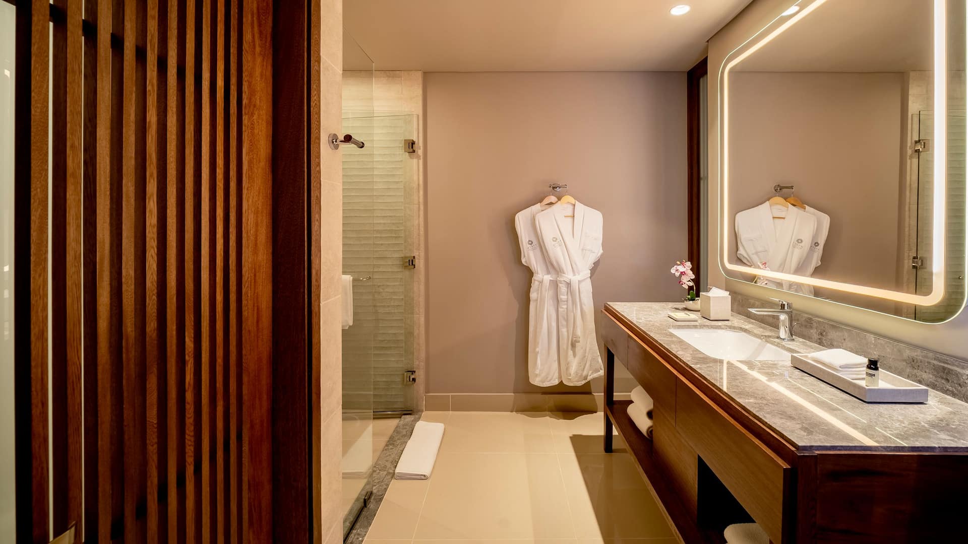 Hyatt Regency Cartagena Bathroom Side View Club Room