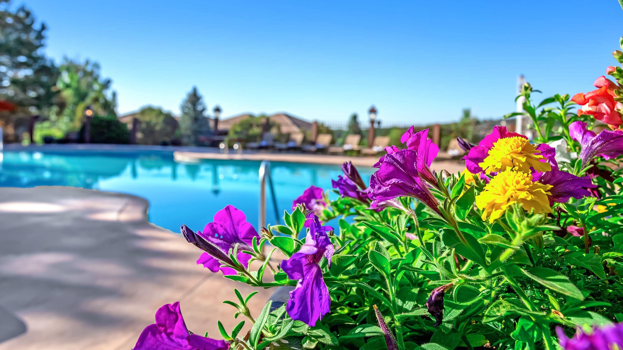Destination by Hyatt Pool Landscaping