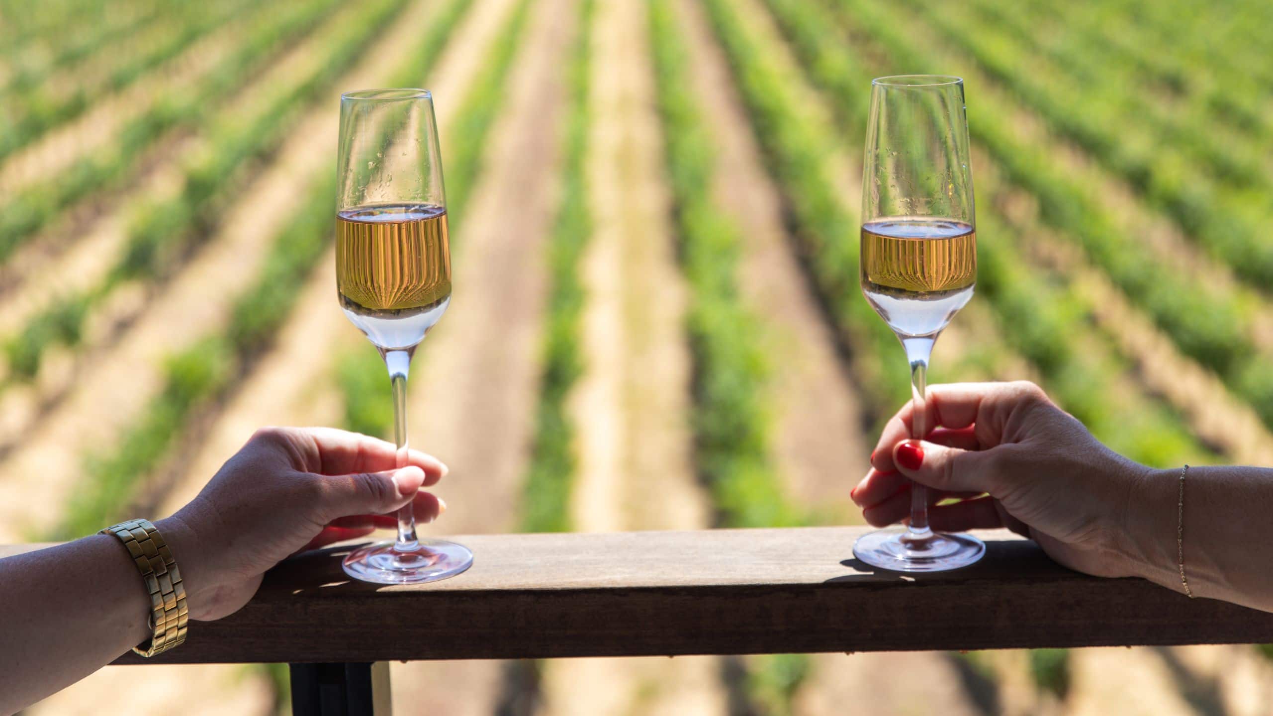 Alila Napa Valley Champagne With Vineyard View