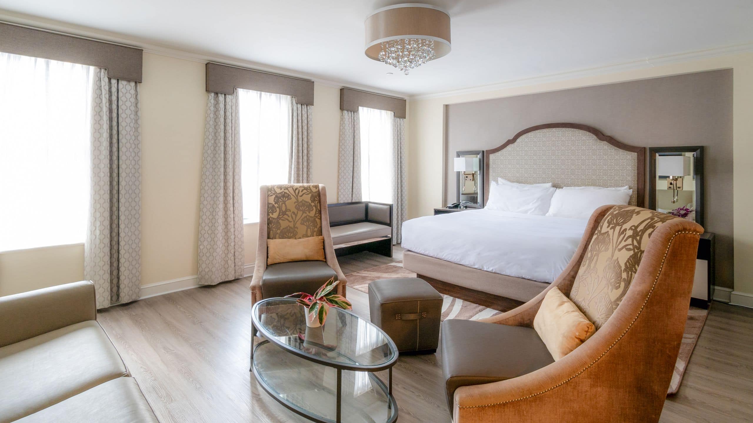 Park South Hotel Junior Suite Brownstone