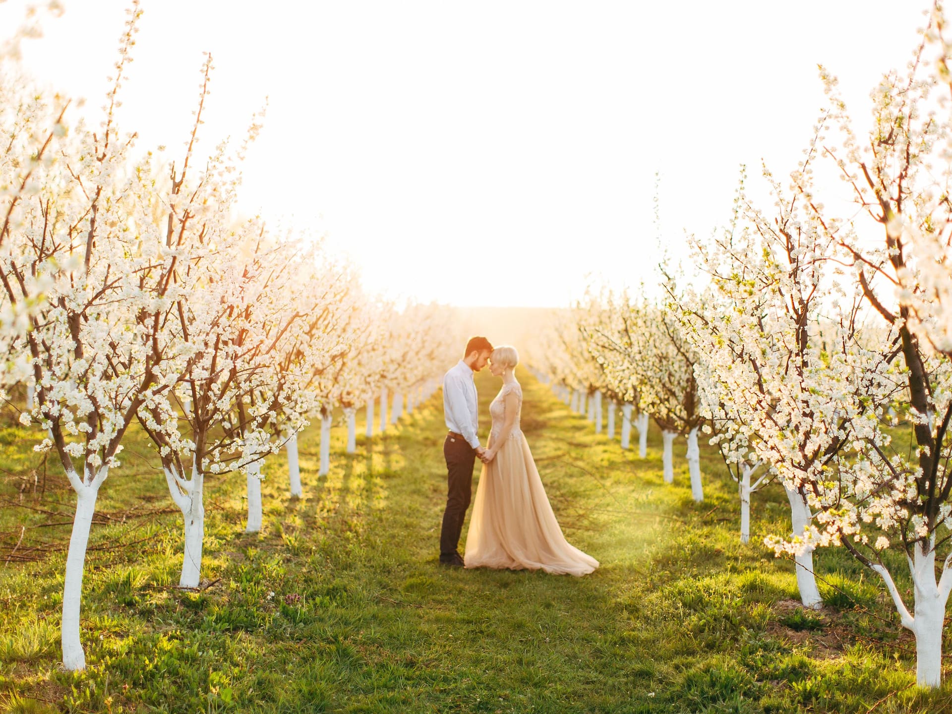 Hyatt Place Melbourne Caribbean Park Orchard Wedding