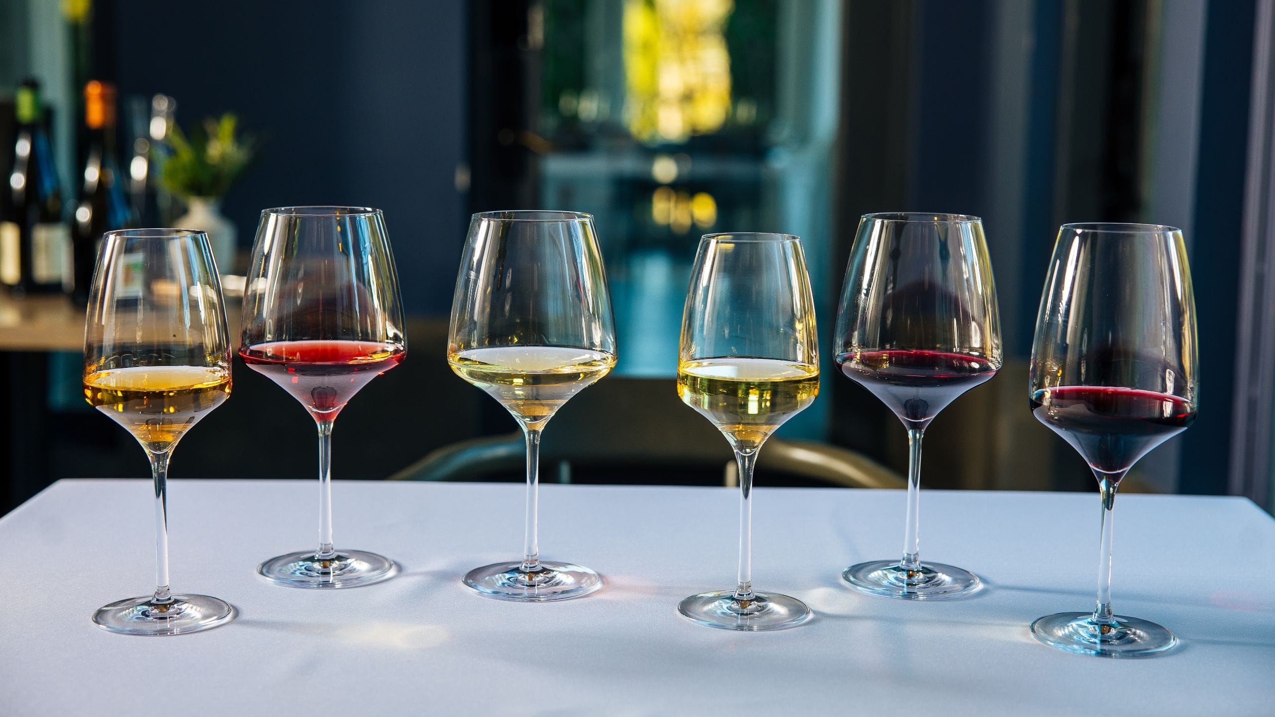 Alila Napa Valley Violetto Wine Tasting Lineup