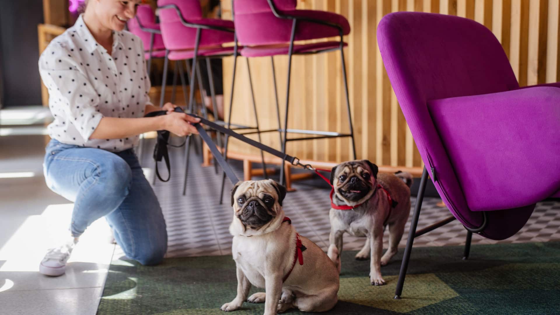 Hyatt Place Krakow Pets