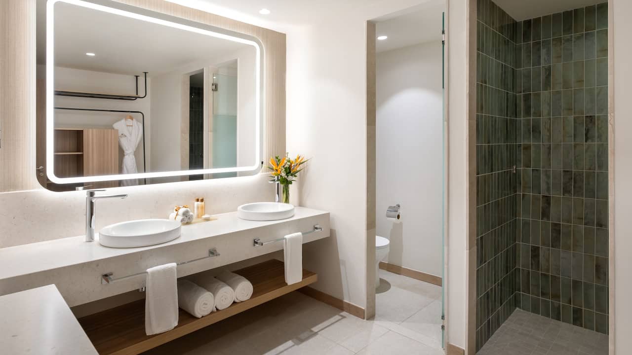 Preferred Club Master Suite Swim Out Terrace