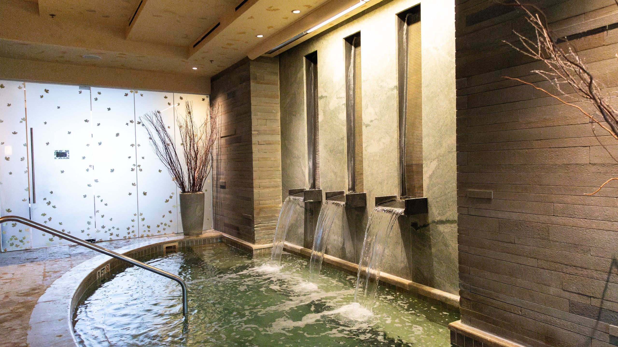 Park Hyatt Beaver Creek Resort and Spa Exhale Spa Aqua Sanitas