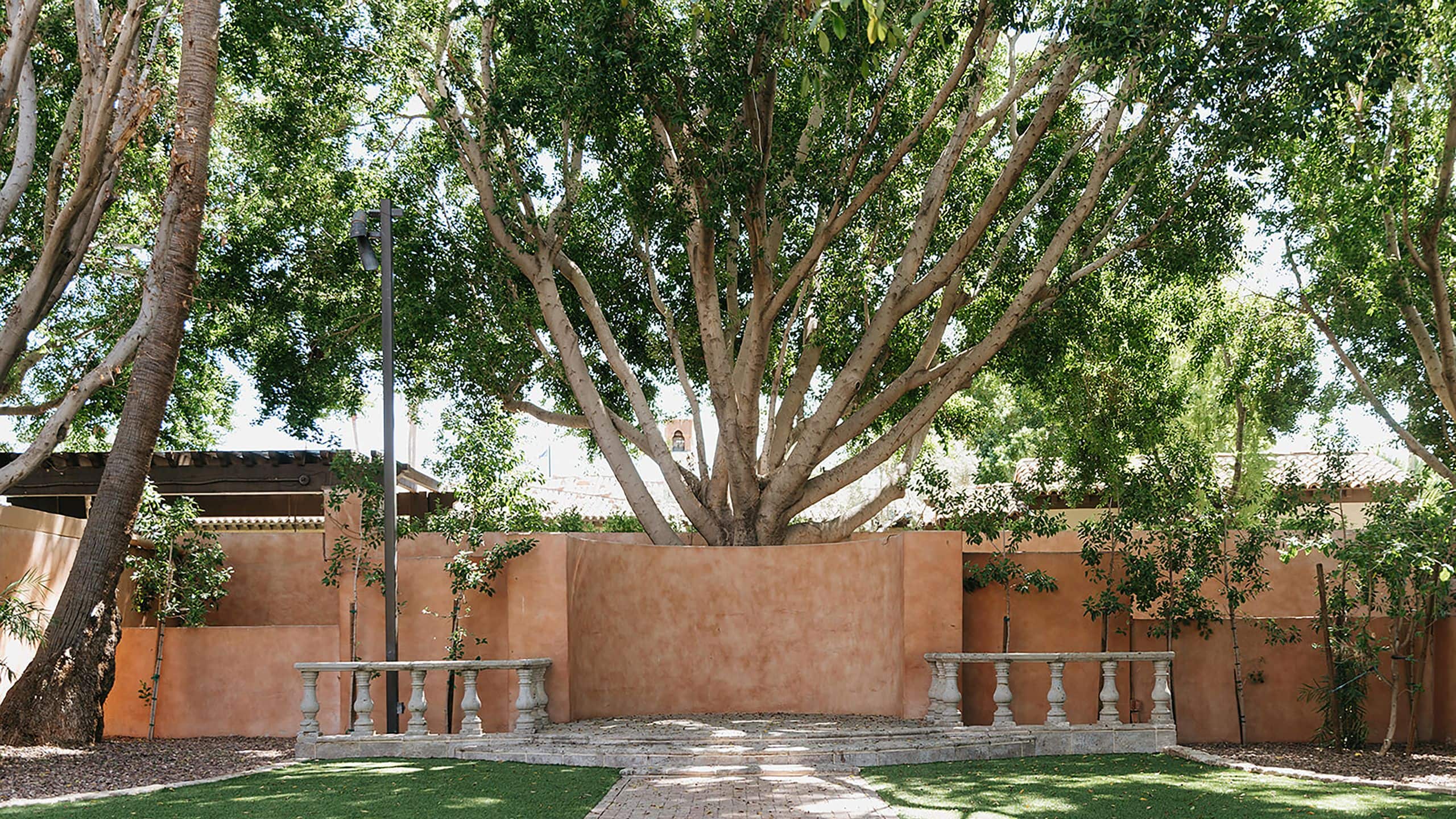 2 of 6 Royal Palms Resort and Spa Alegria Garden Empty