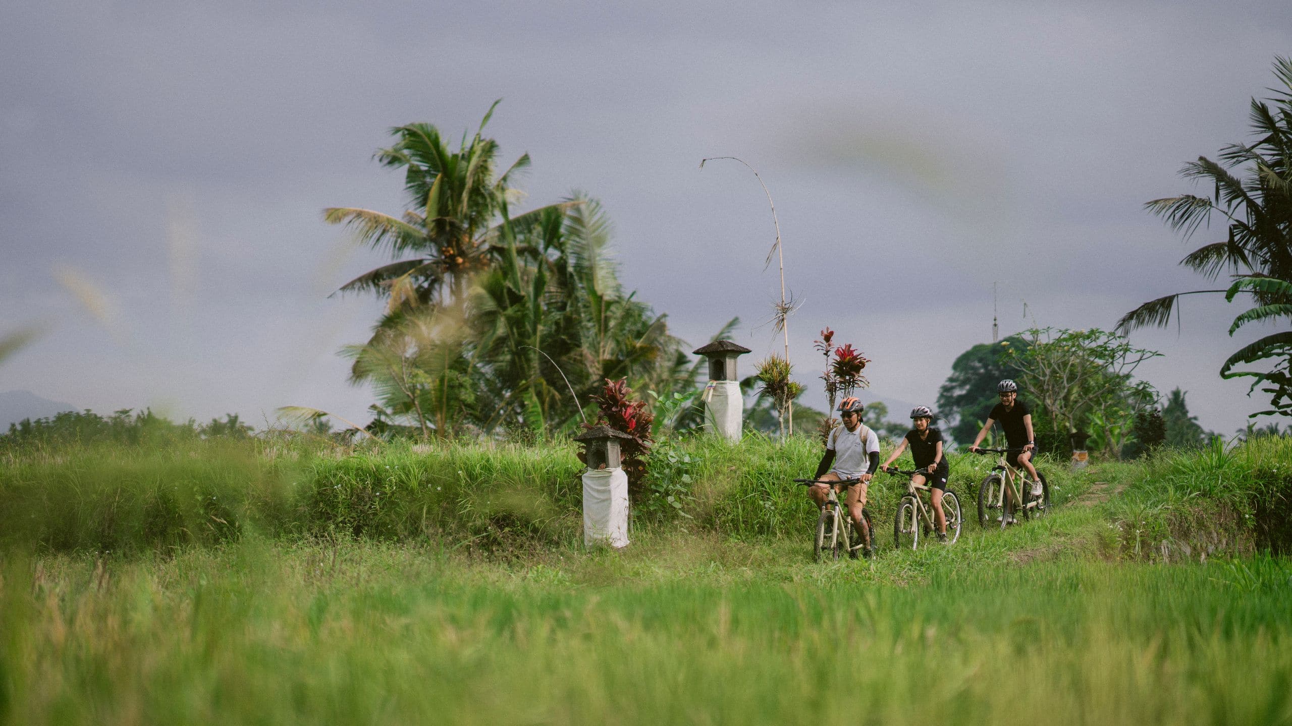 Alila Ubud Cycling Into The Paddy View