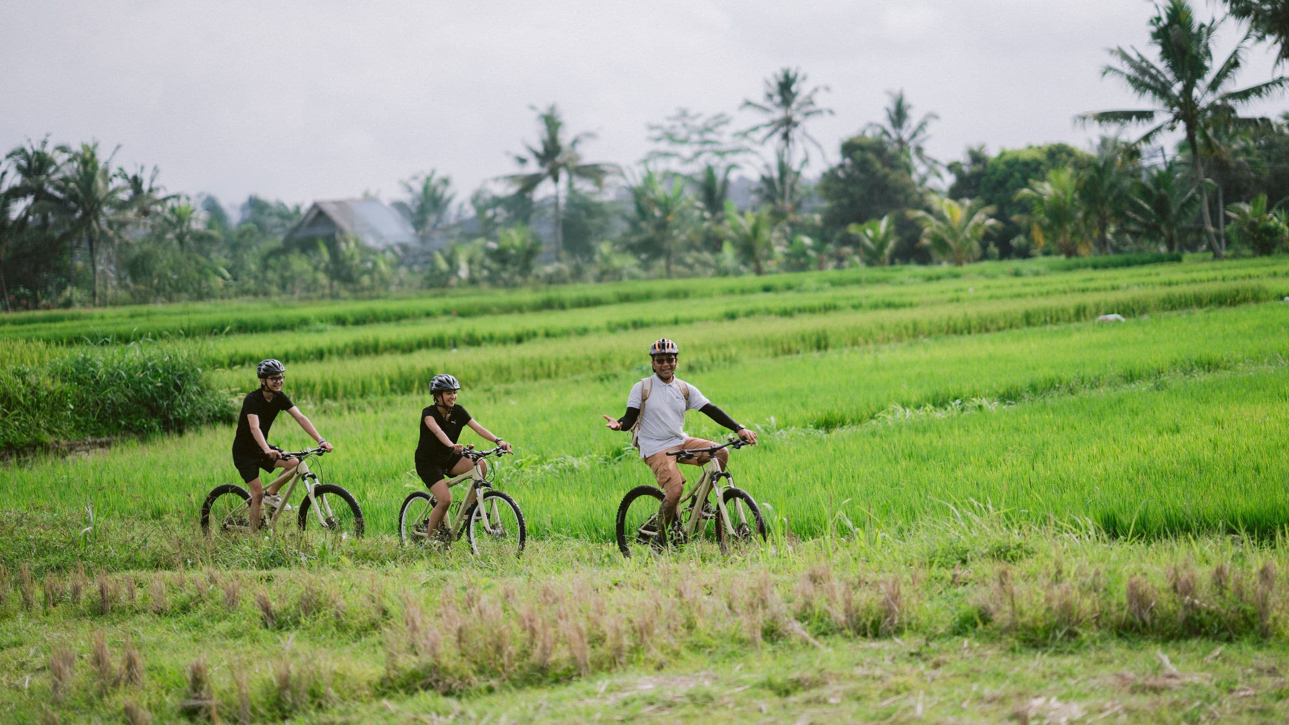 Alila Ubud Cycling To The Paddylands