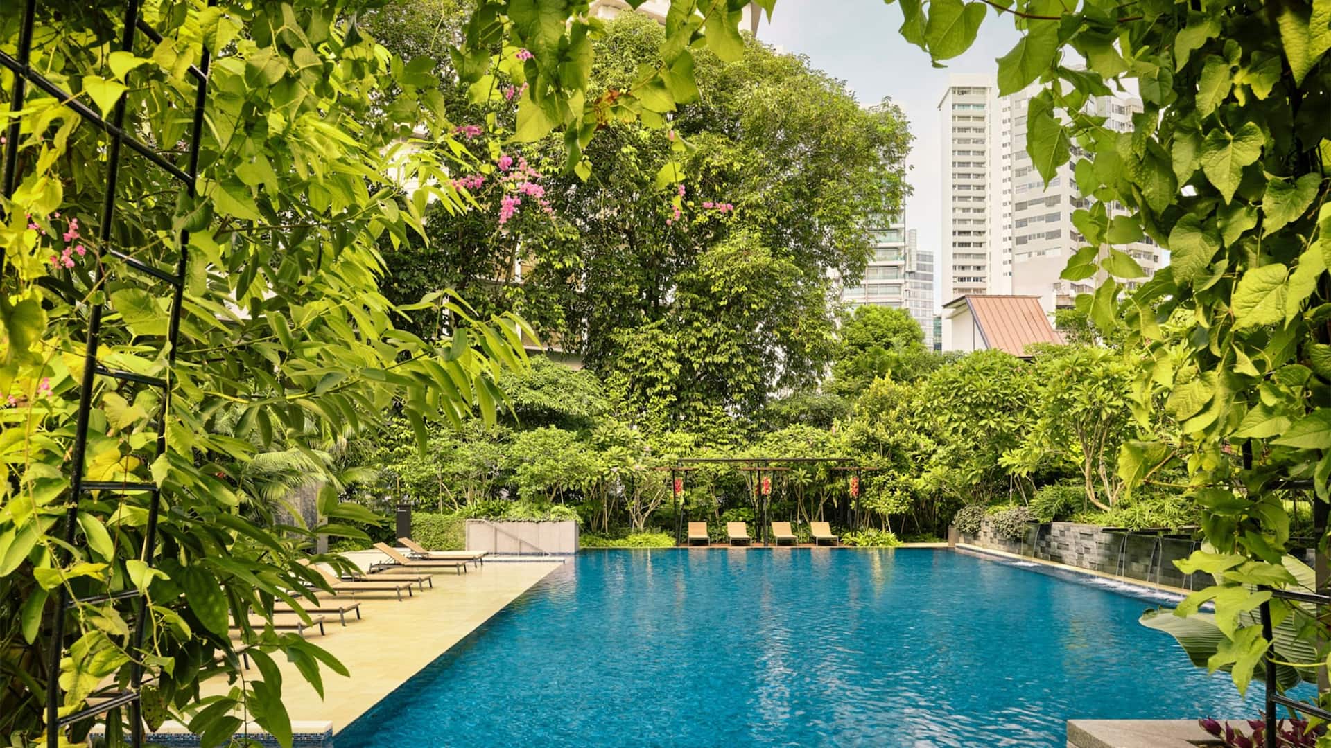 Grand Hyatt Singapore Pool