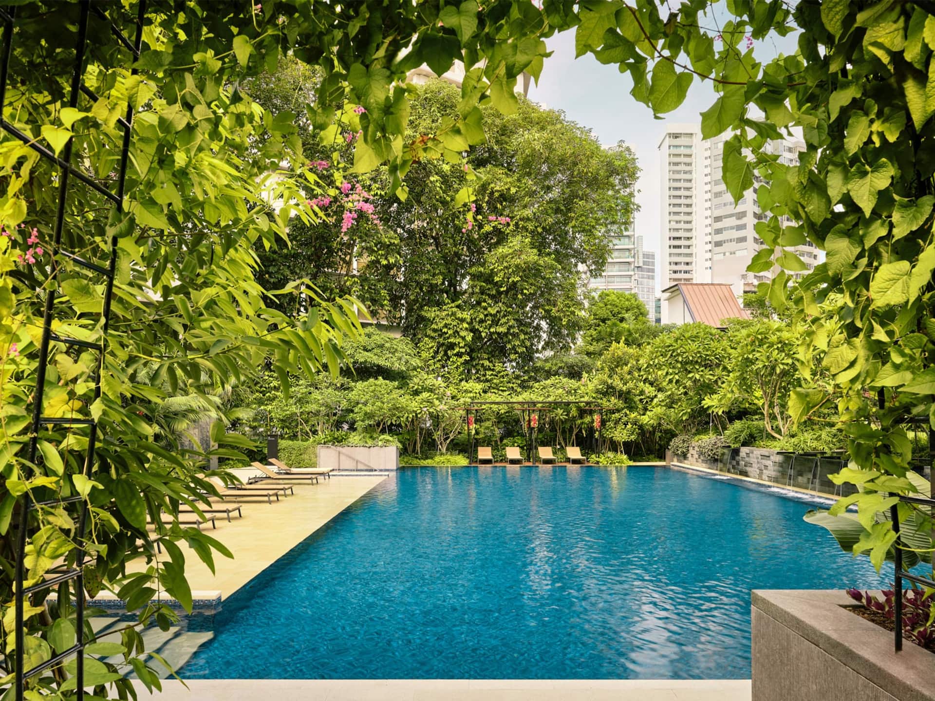 Grand Hyatt Singapore Pool