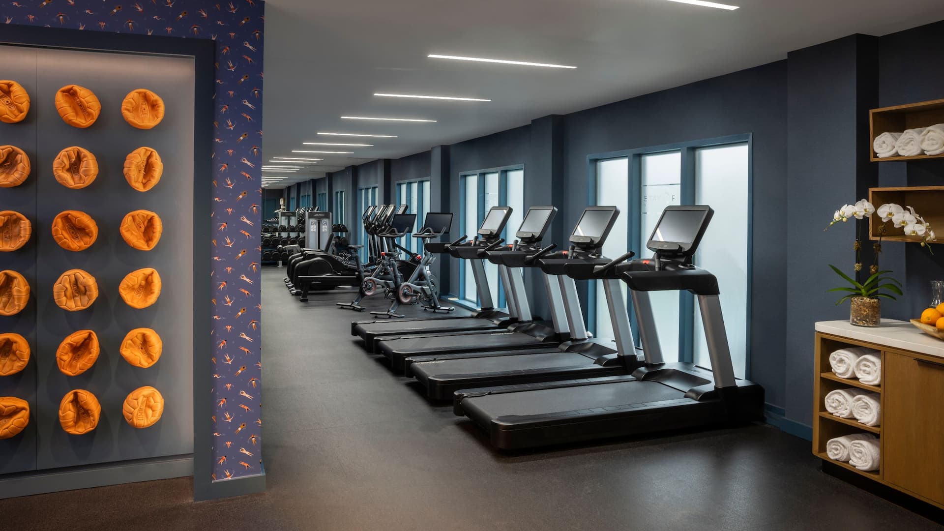 Hyatt Regency Greenwich Gym