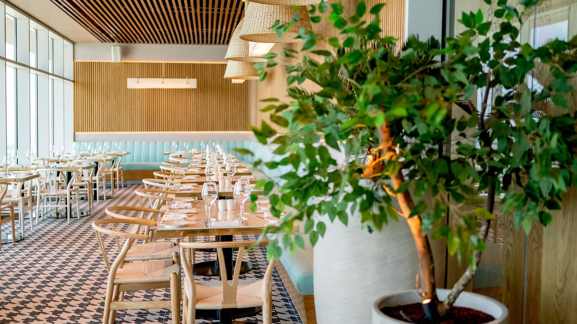 Hyatt Regency Cartagena Koka Restaurant Terrace Nature Cute