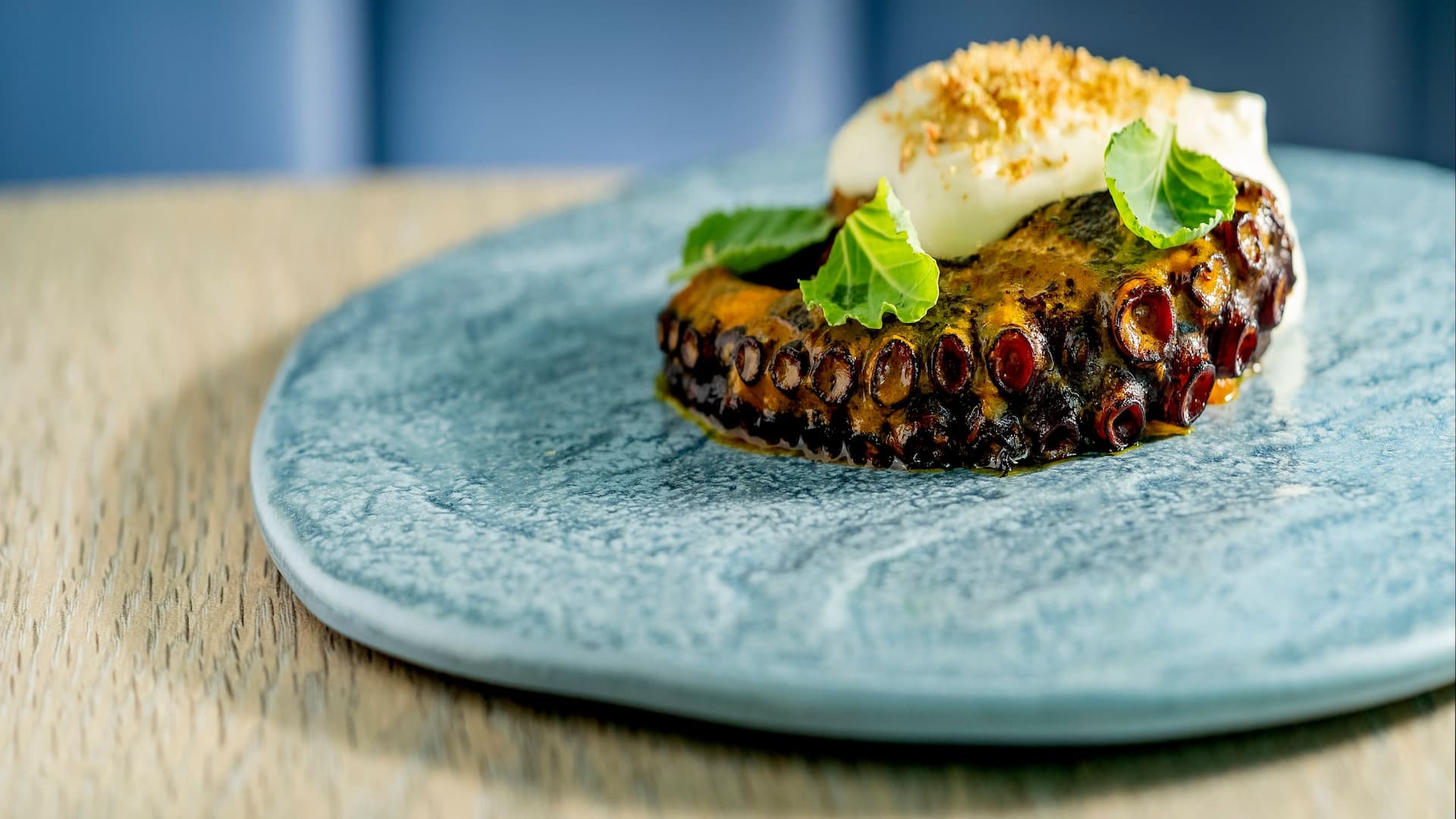 Hyatt Regency Cartagena Fresh Grilled Octopus With Potate Mousse