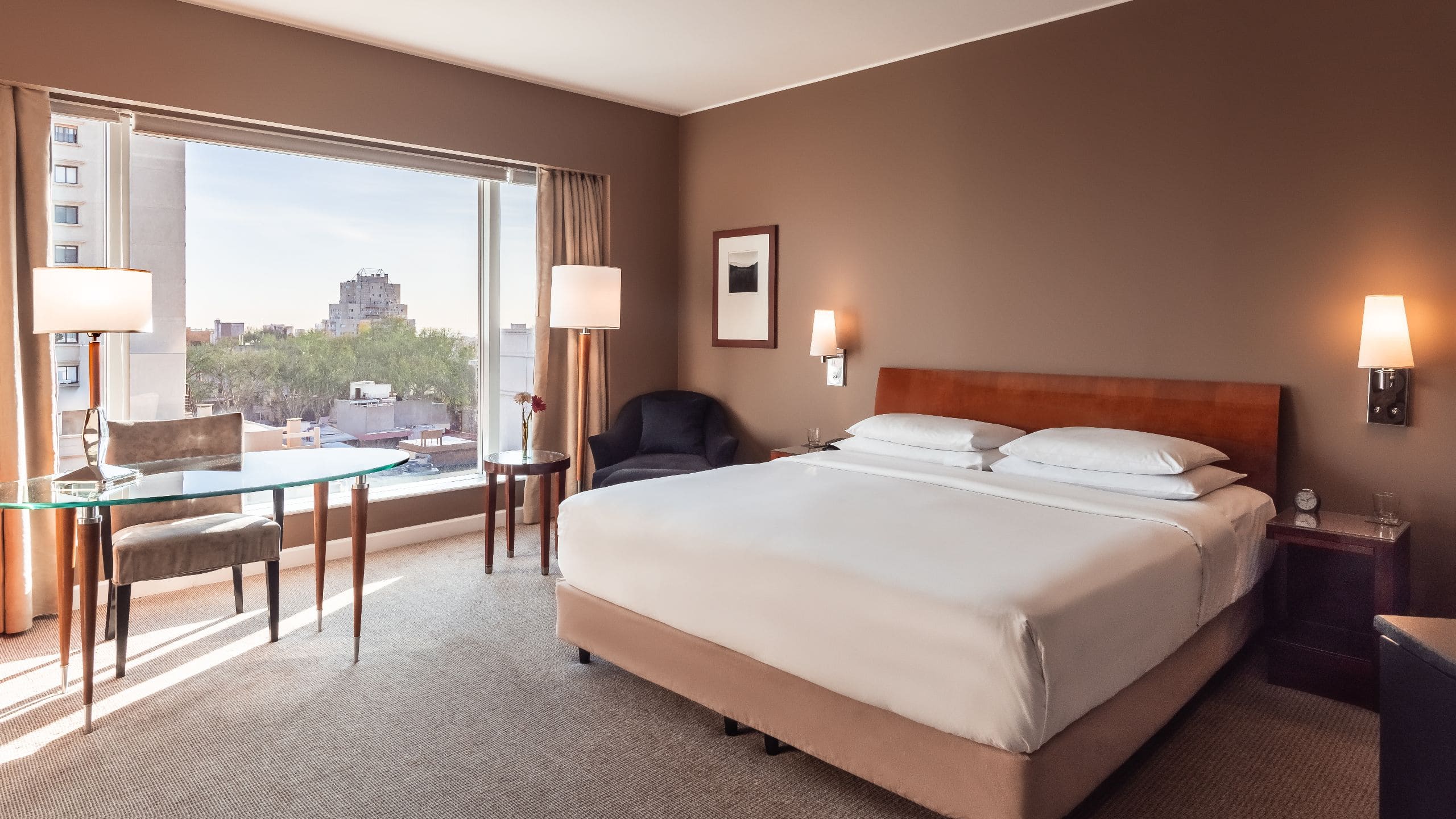Park Hyatt Mendoza City View King