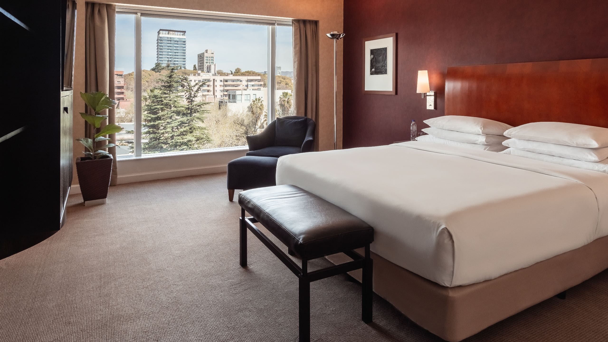 Park Hyatt Mendoza Diplomatic Suite