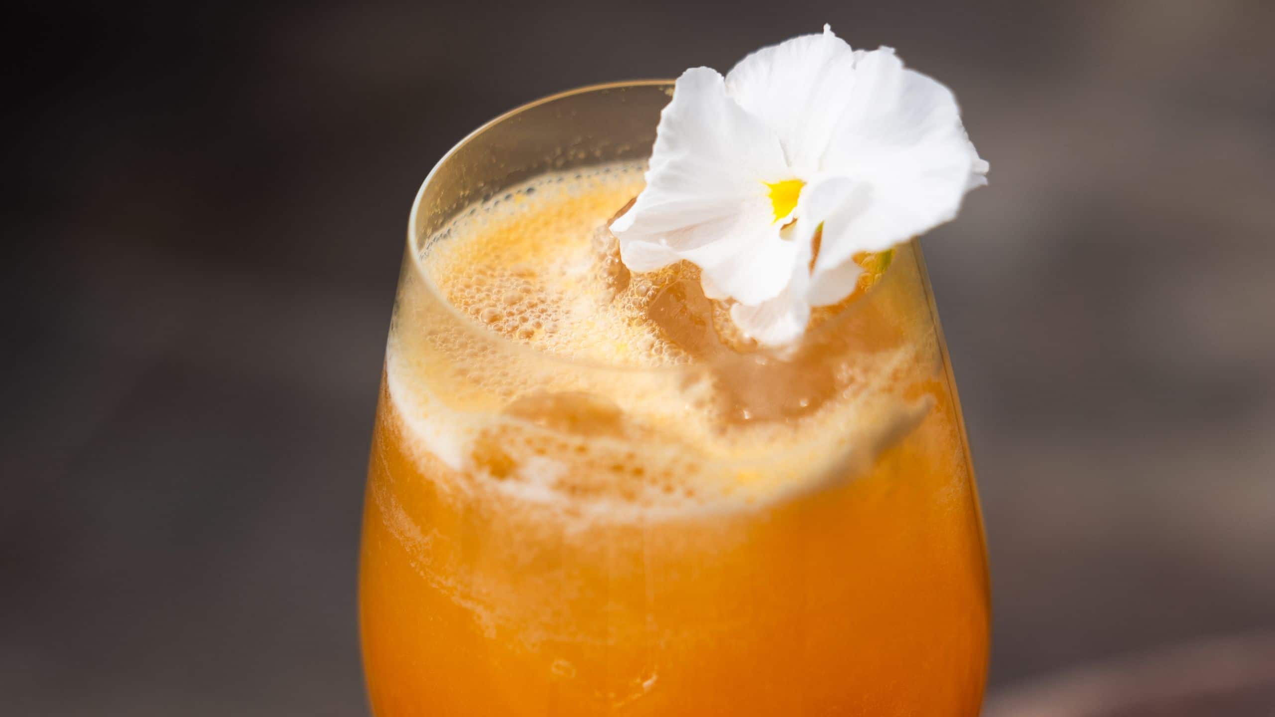 Numu Boutique Hotel San Miguel de Allende Fresh Juice At Noia Rooftop