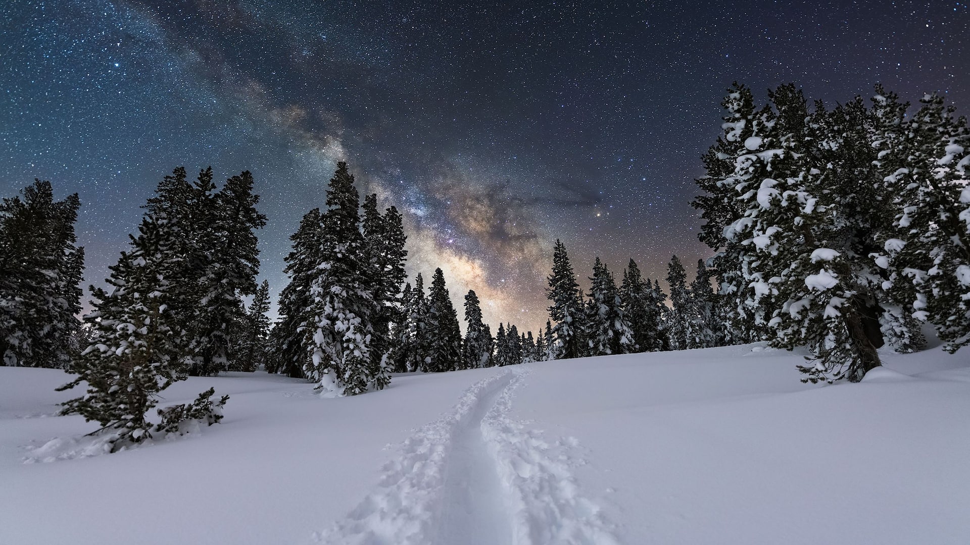 Hyatt Regency Lake Tahoe Resort, Spa and Casino Distinctive Experience Moonlight In The Meadows