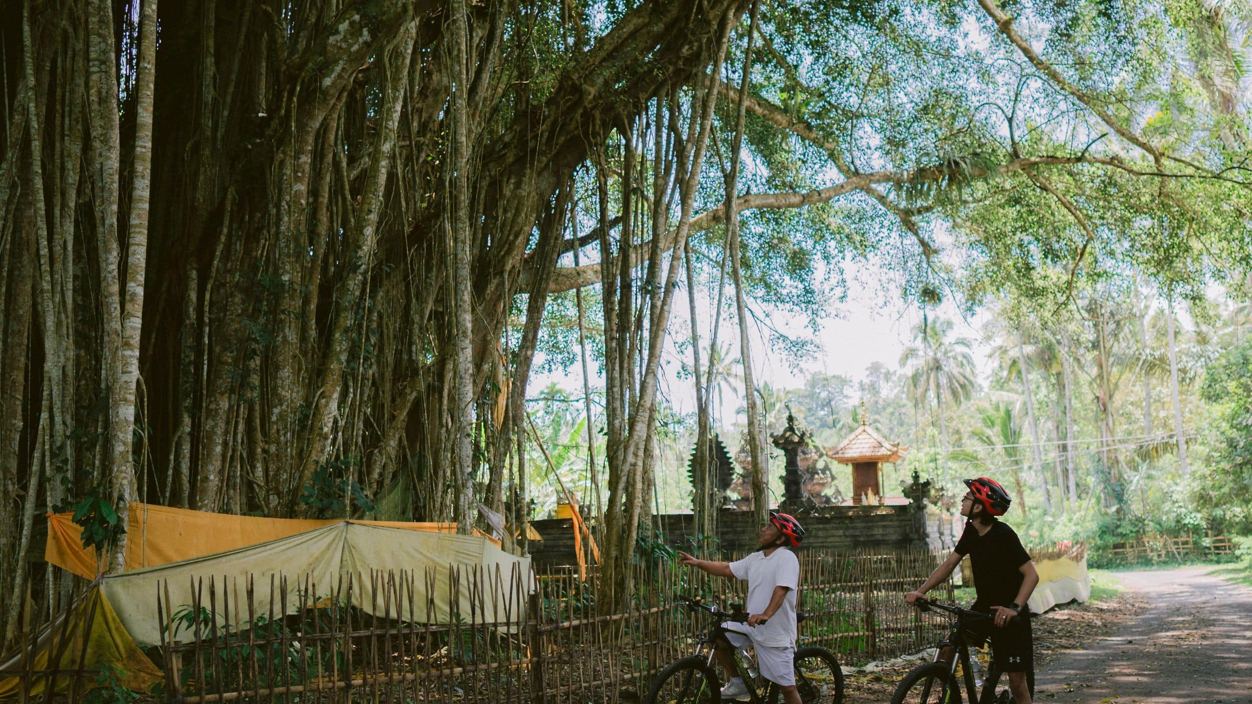 Alila Manggis Cycling Explore The Road