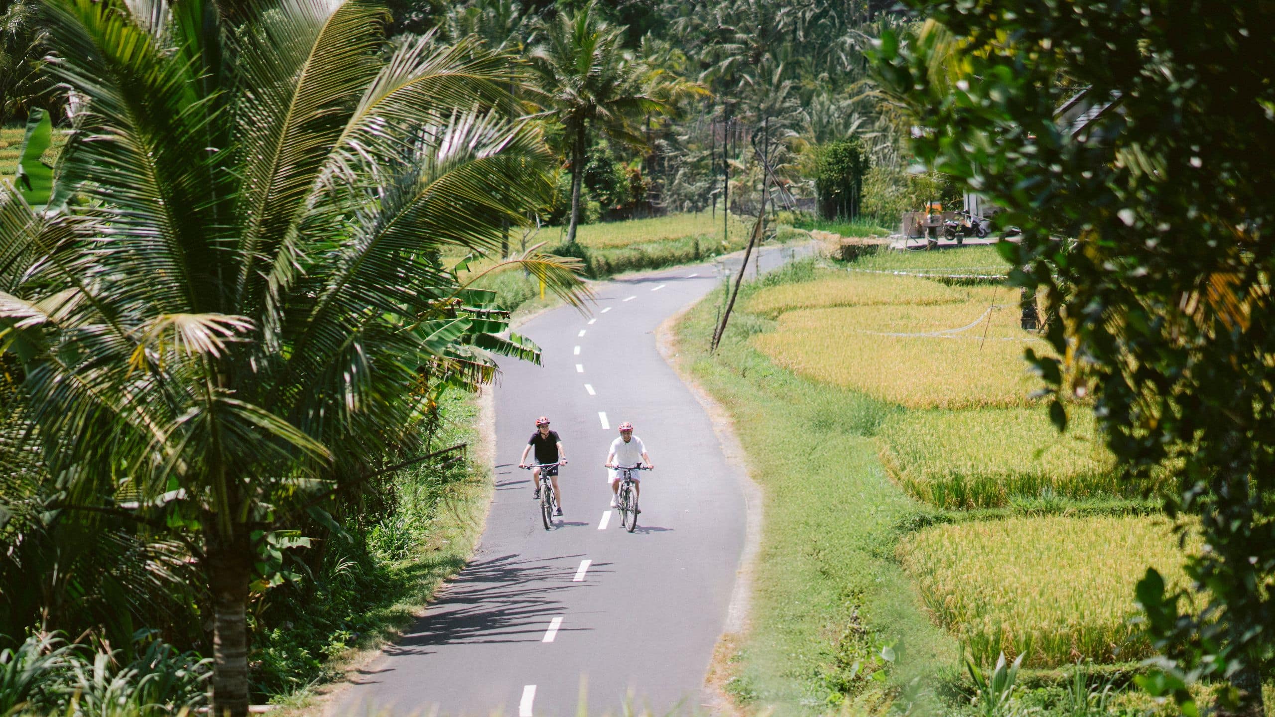 Alila Manggis Rice Field Path Cycling