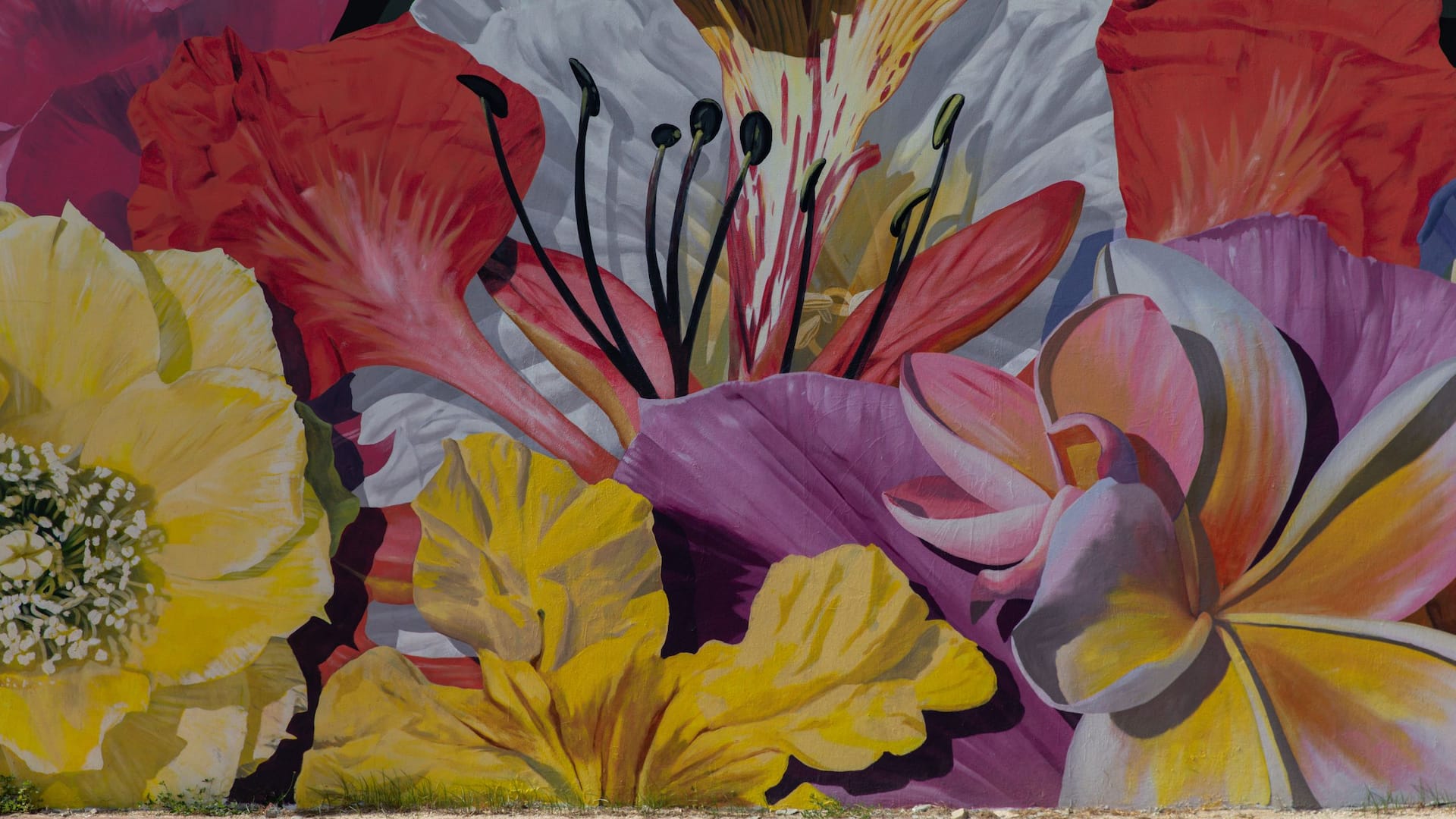 Hyatt Regency Aruba Resort Spa and Casino San Nicholas Mural