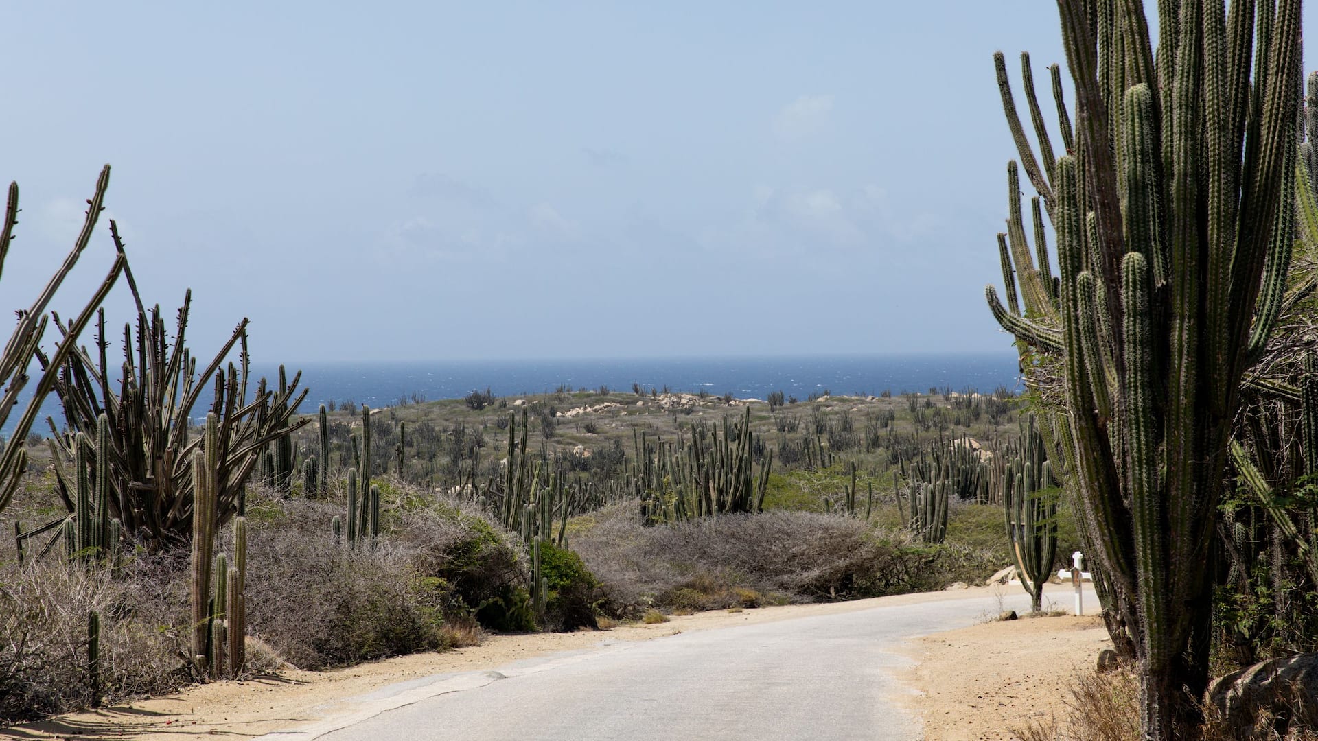 Hyatt Regency Aruba Resort Spa and Casino Scenic Drive