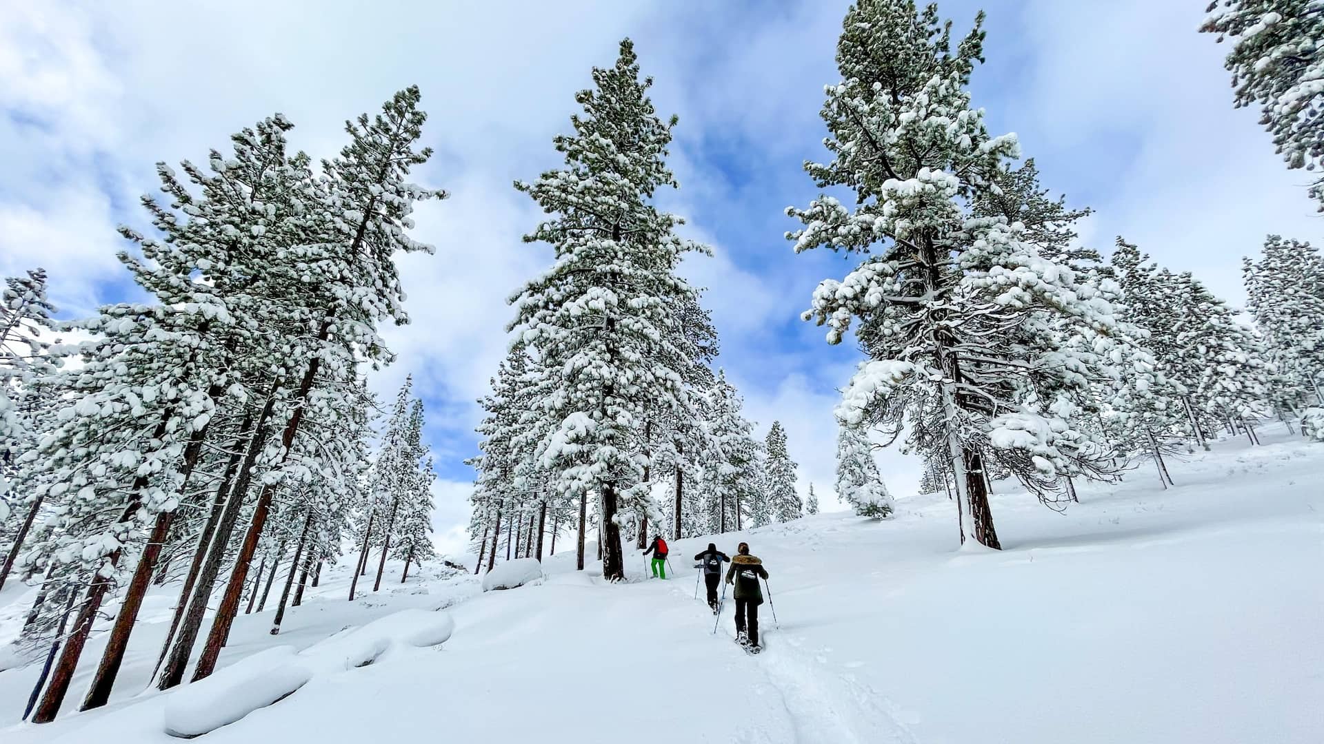 Hyatt Regency Lake Tahoe Resort, Spa and Casino Tahoe Adventures Monkey Rock Snowshoe