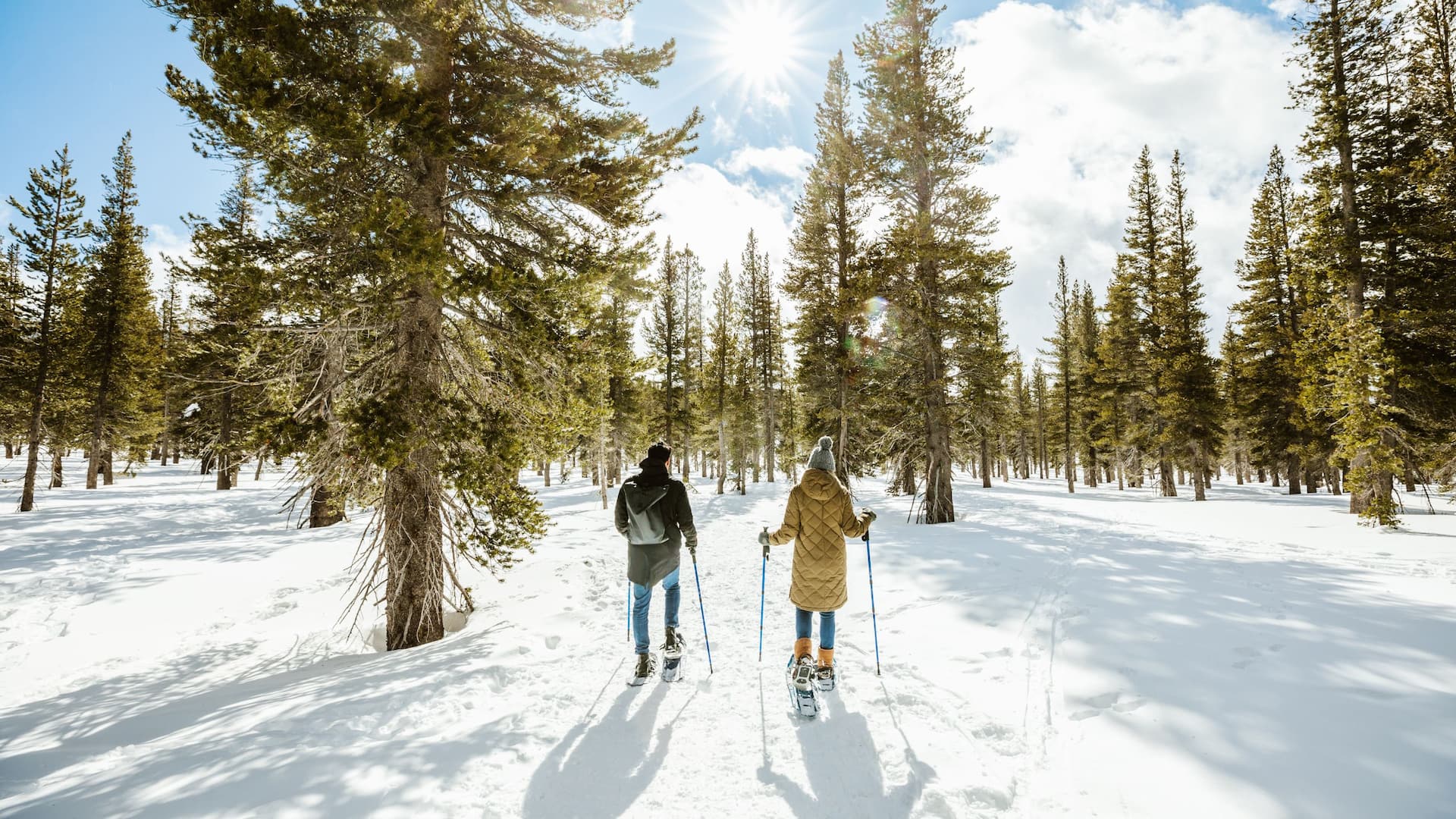 Hyatt Regency Lake Tahoe Resort, Spa and Casino Winter Snowshoe