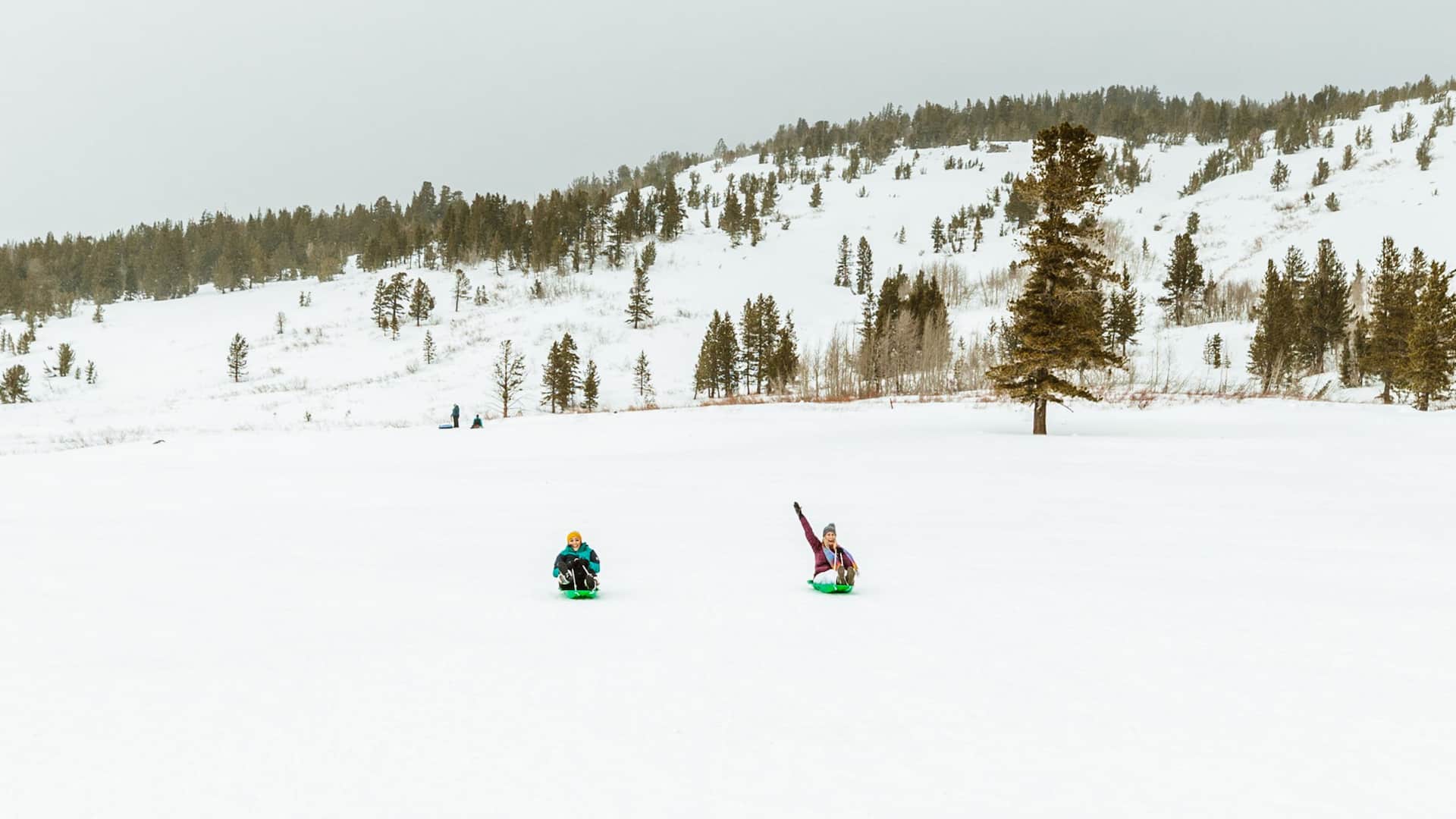 Hyatt Regency Lake Tahoe Resort, Spa and Casino Winter Sledding