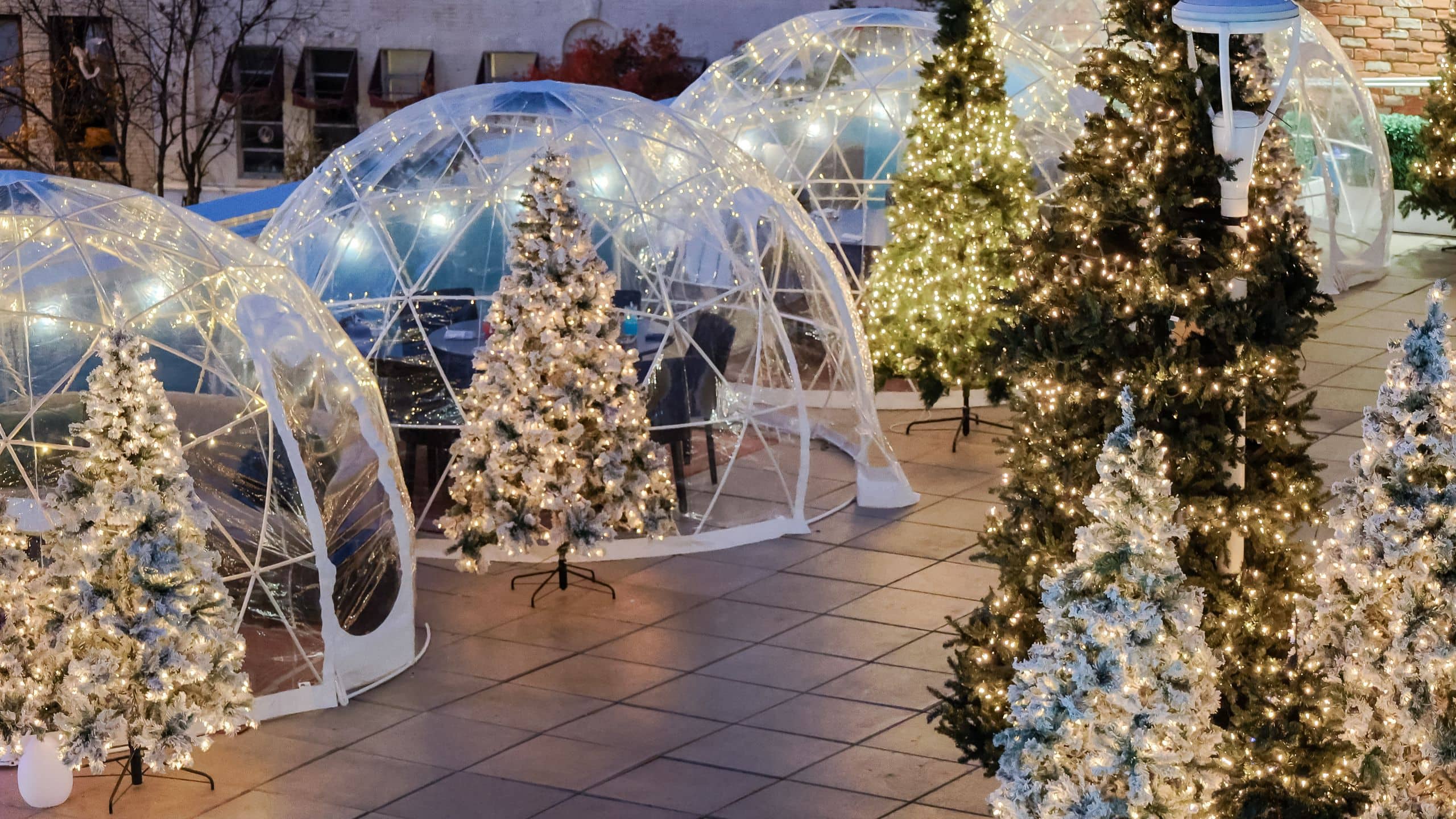 Unscripted Durham Christmas Igloo Roof