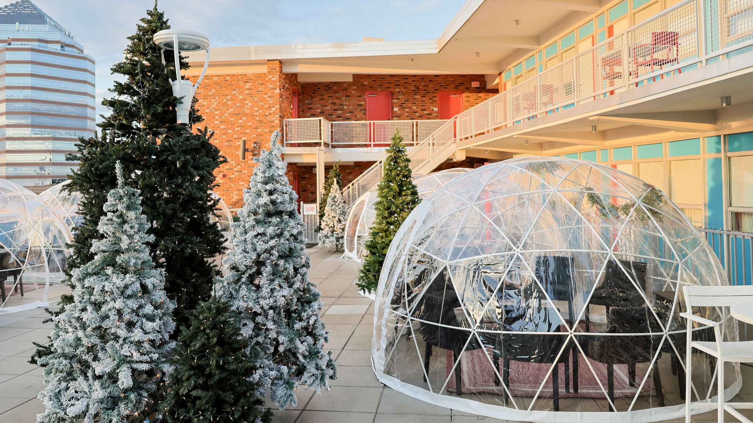 Unscripted Durham Rooftop Igloo View