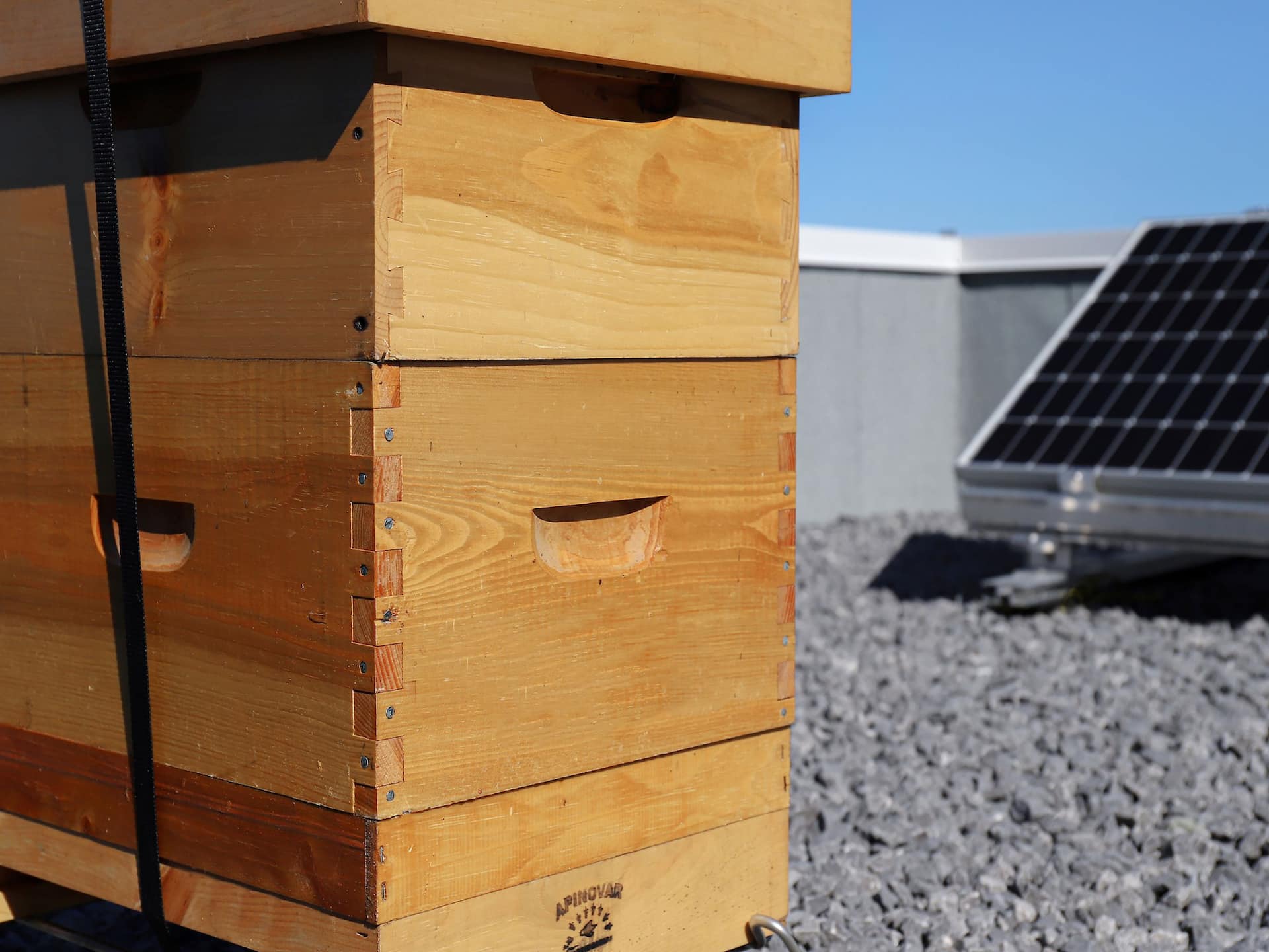 Hyatt Place Ottawa - West Rooftop Beehive
