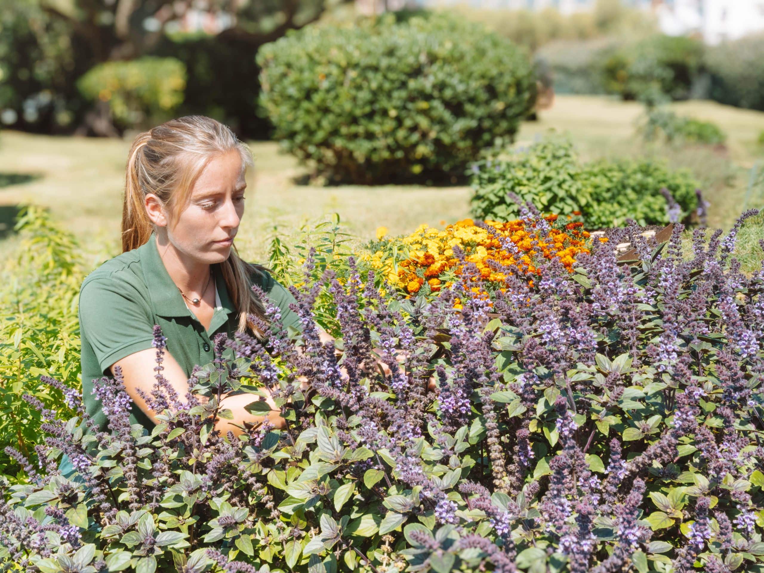 Hôtel du Palais Biarritz Garden Gardener