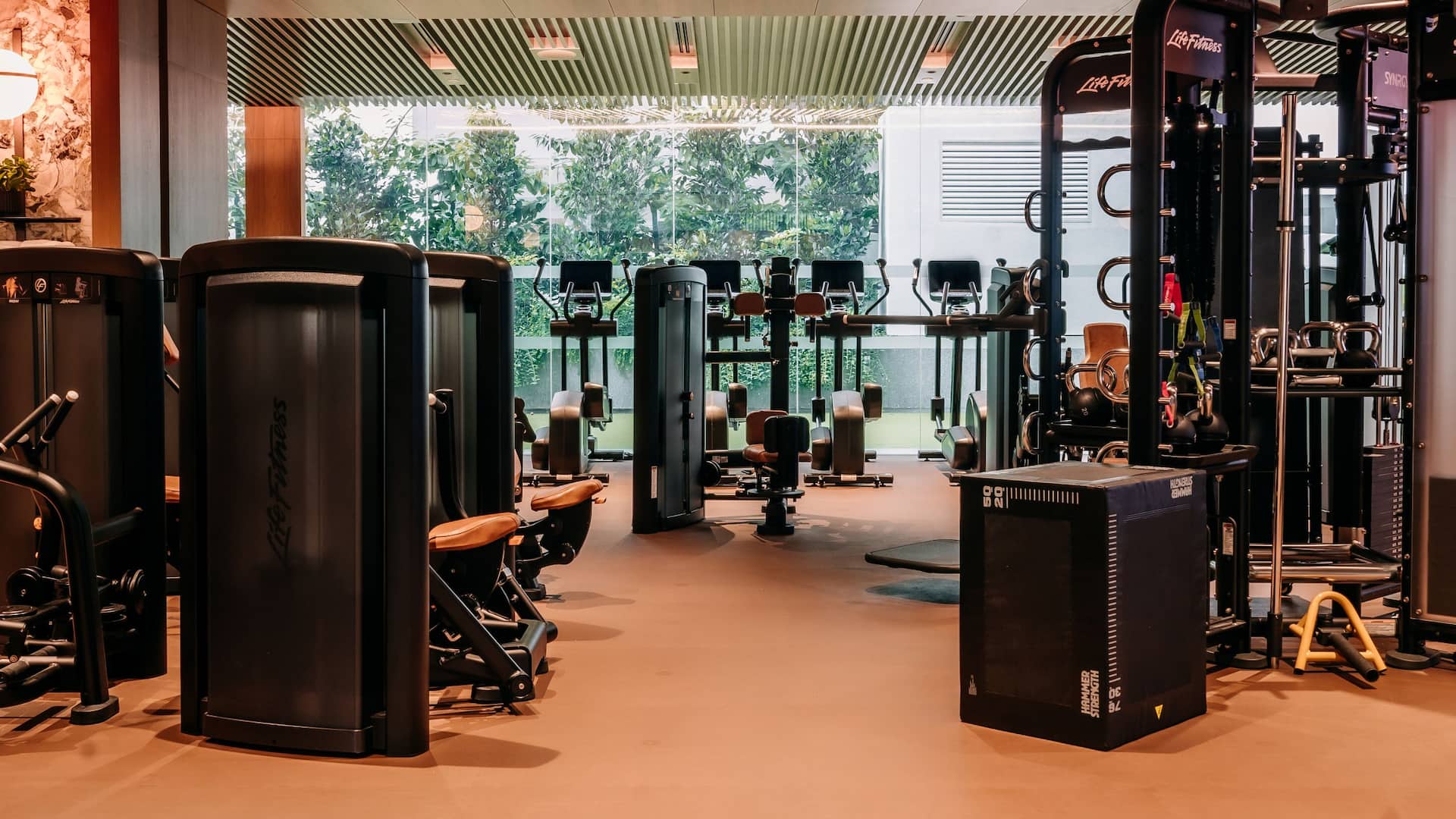 Grand Hyatt Singapore Fitness Center Equipment