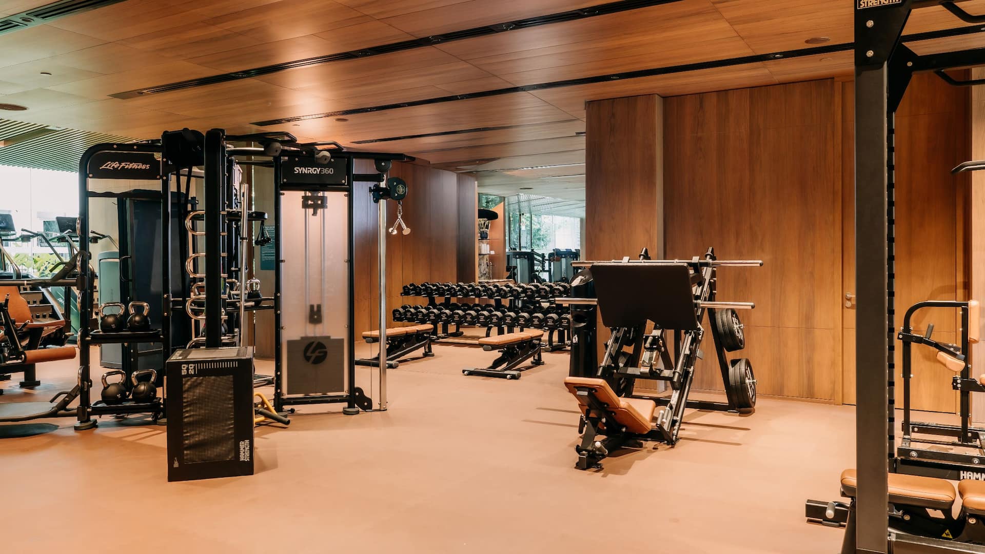 Grand Hyatt Singapore Fitness Center Weights