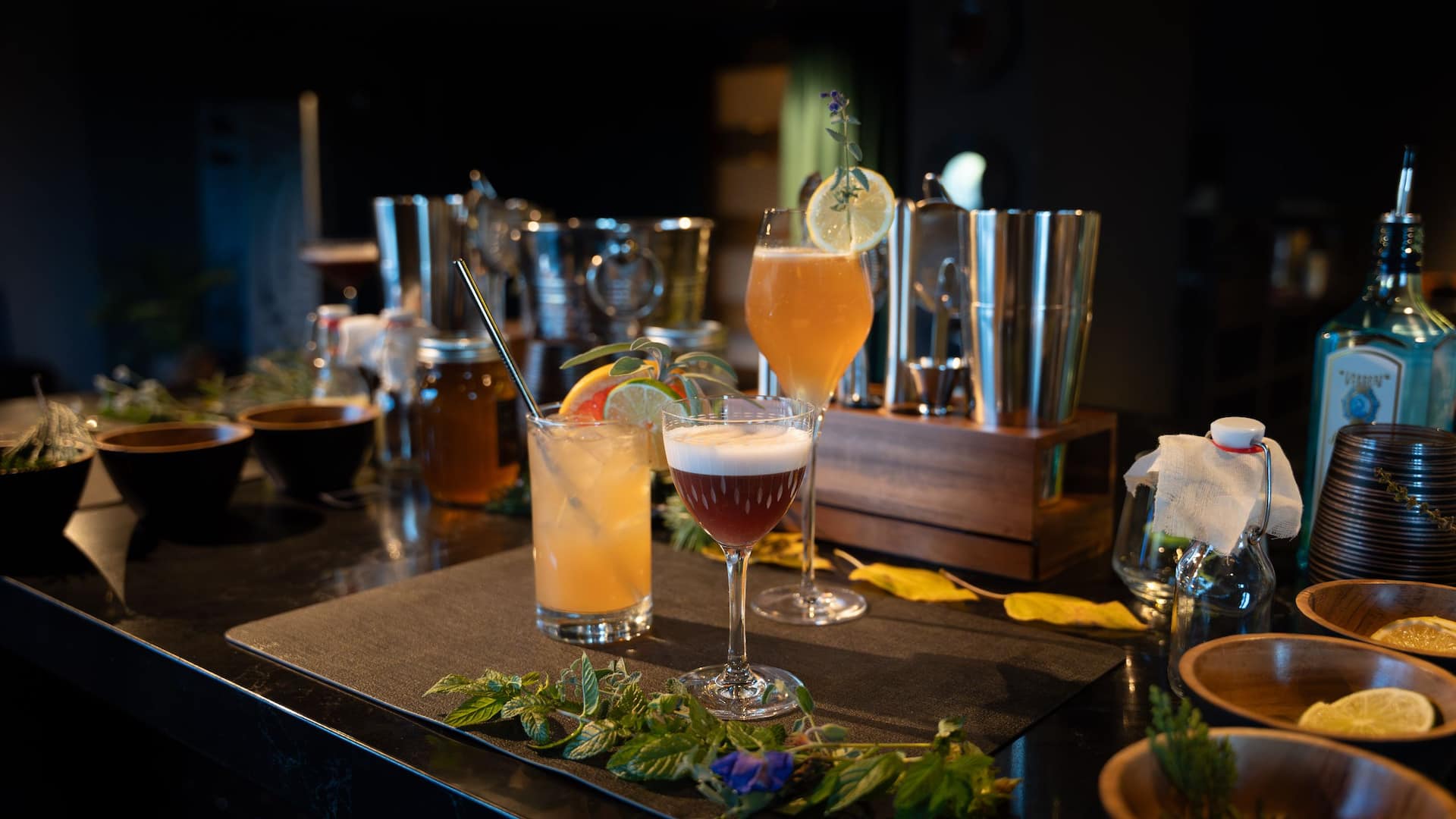 Hyatt Regency Lake Tahoe Resort, Spa and Casino Distinctive Experiences Mixology Class