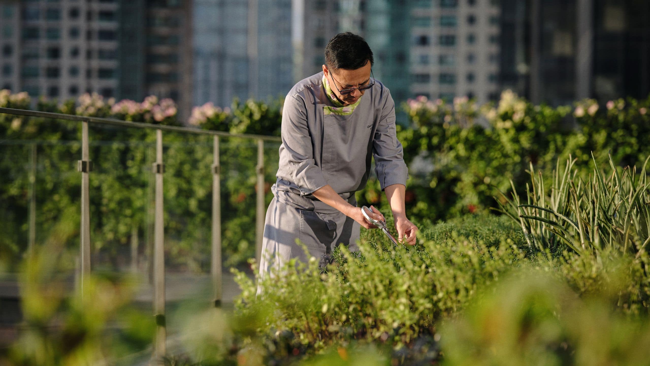 Alila Man In Organic Garden